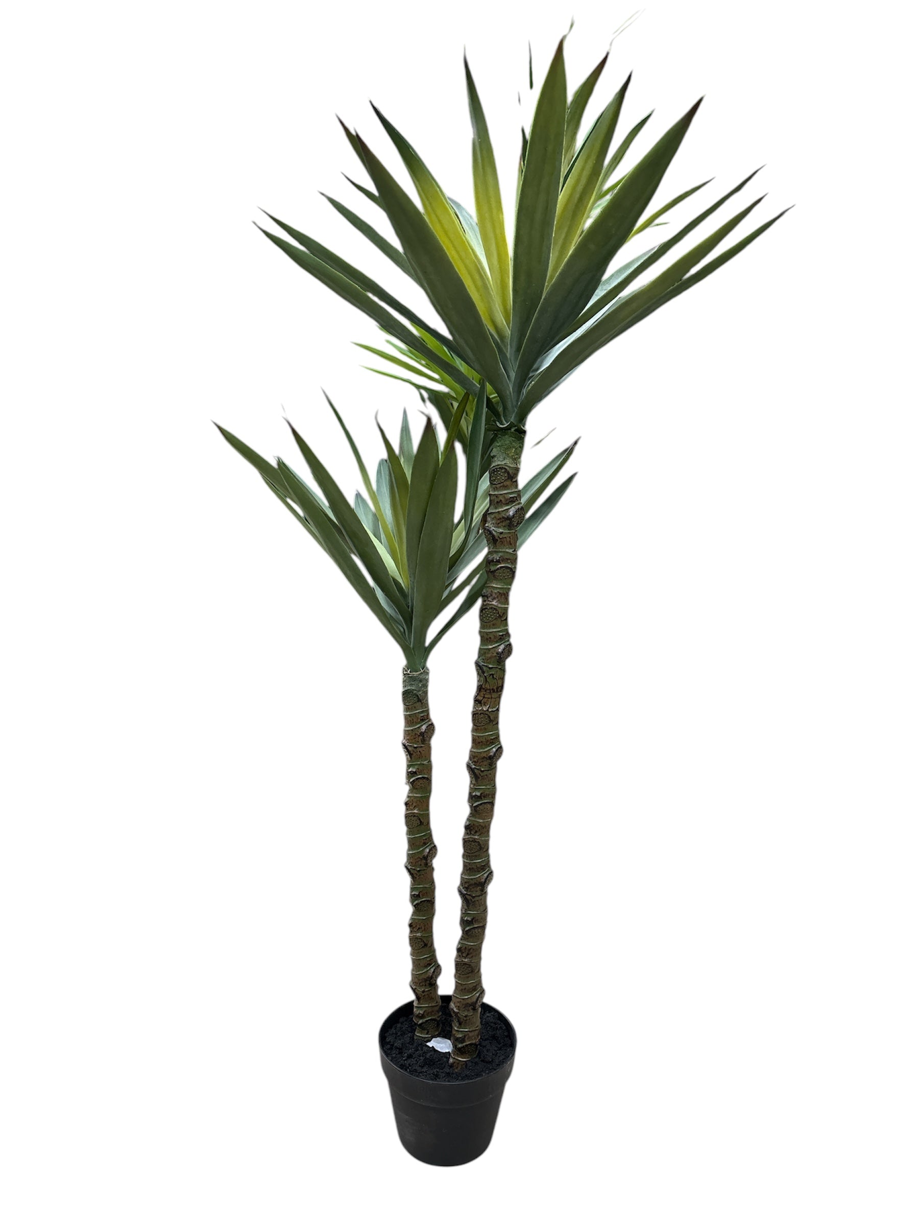 Pianta Yucca del Guatemala Artificiale in Vaso – H125 cm