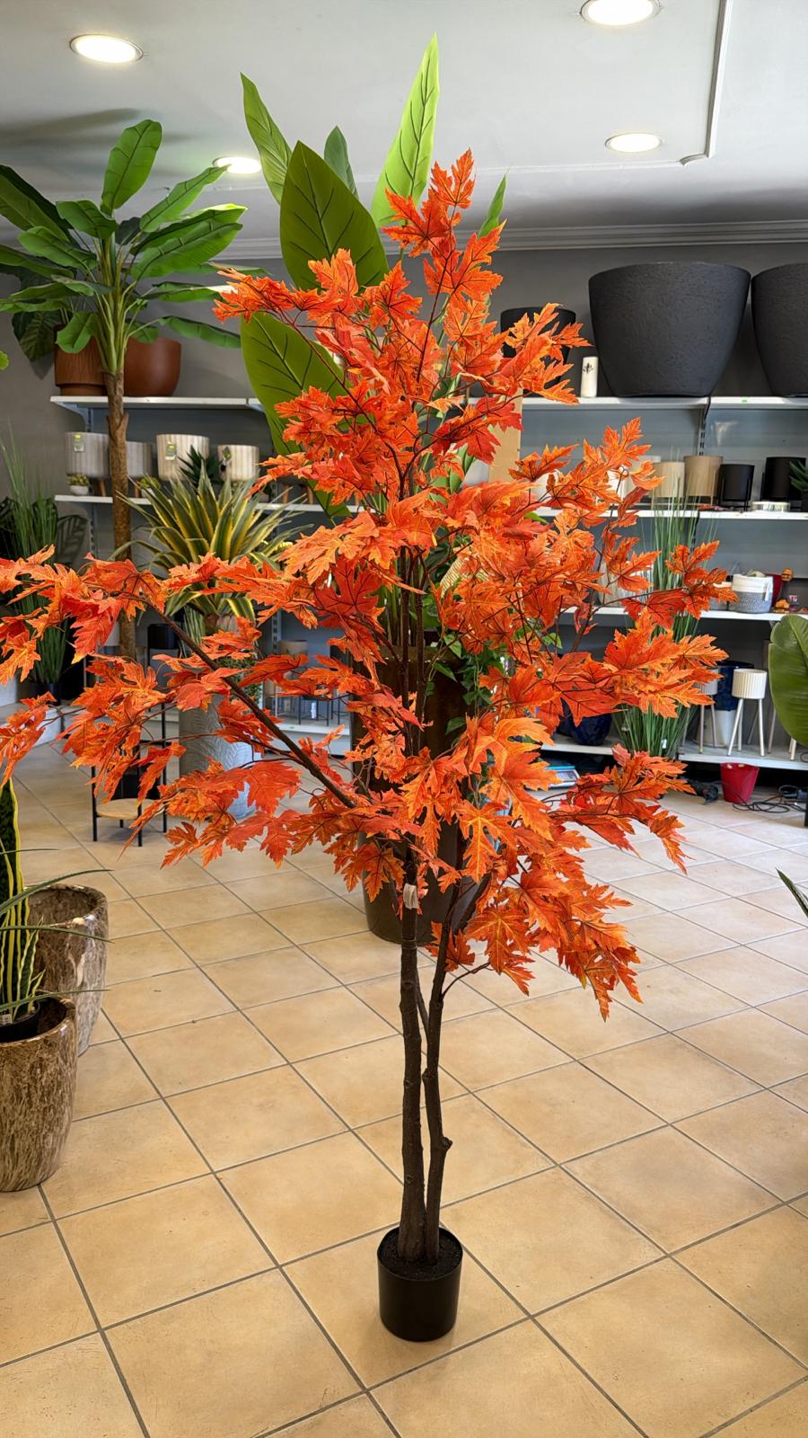 Pianta di Acero Artificiale 180 cm