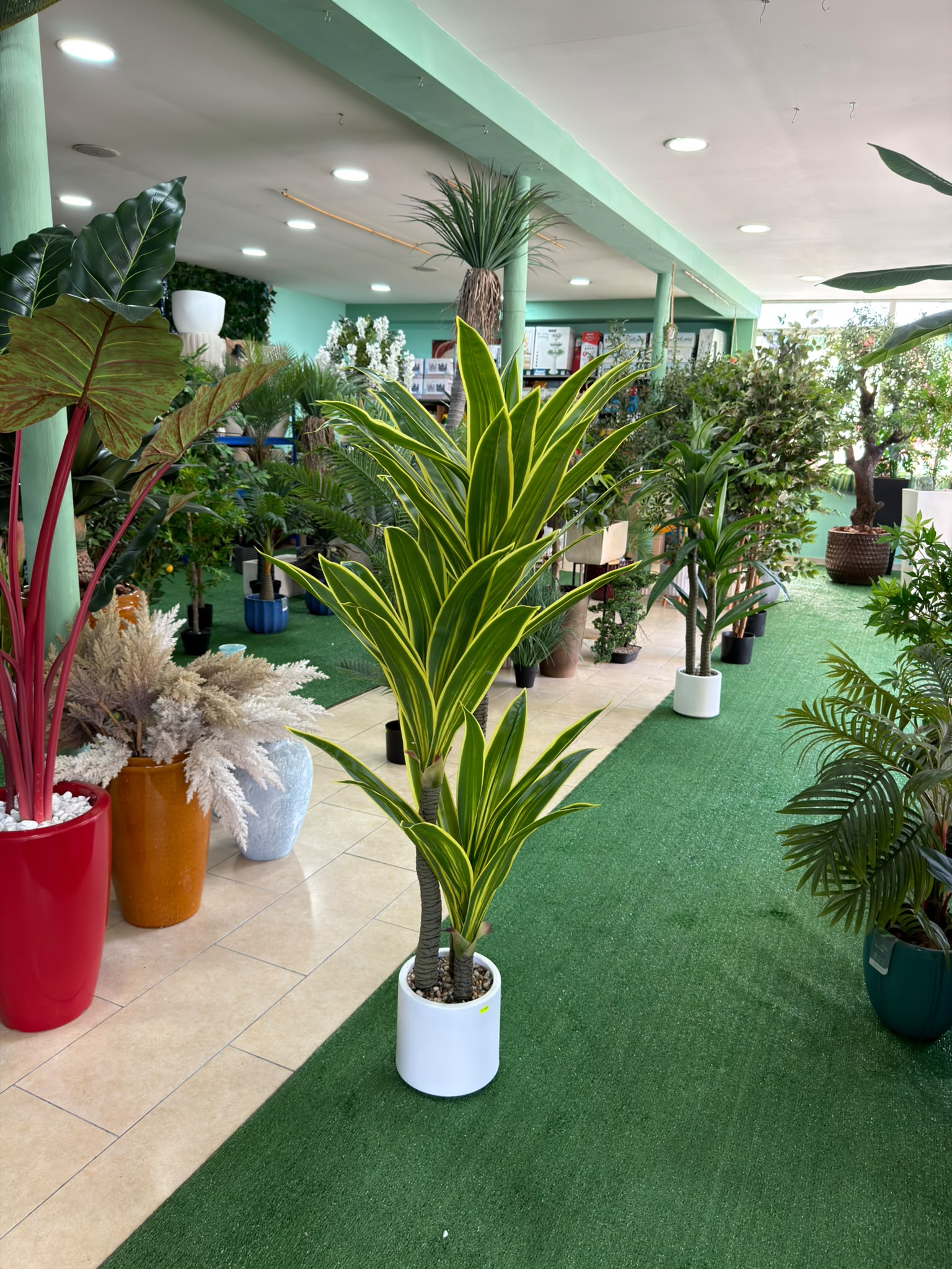Dracena Variegata Artificiale 160 cm