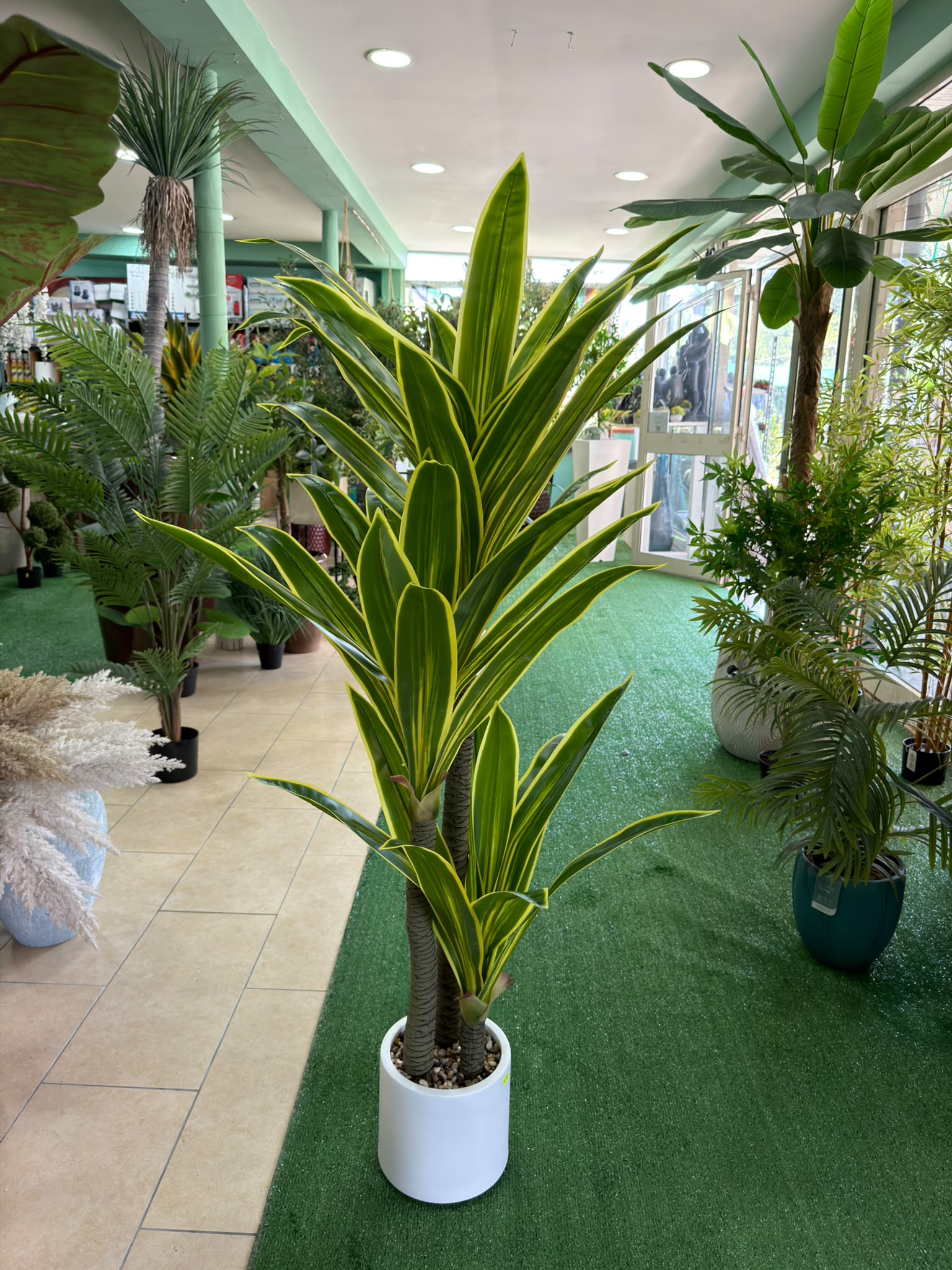 Dracena Variegata Artificiale 160 cm