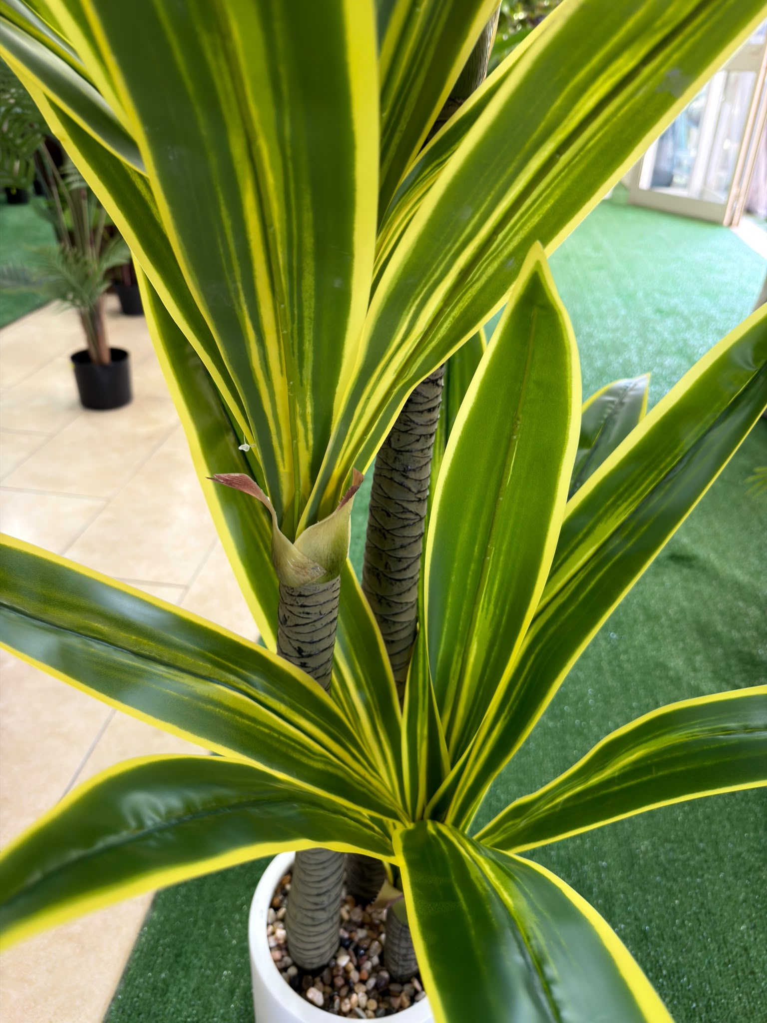 Dracena Variegata Artificiale 160 cm