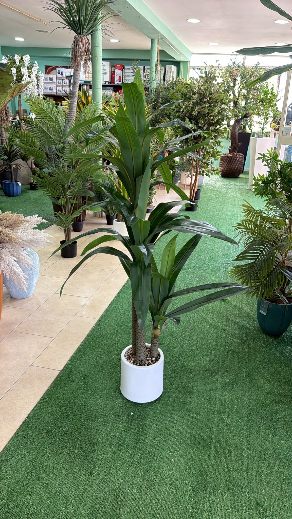 Dracena Artificiale 160 cm