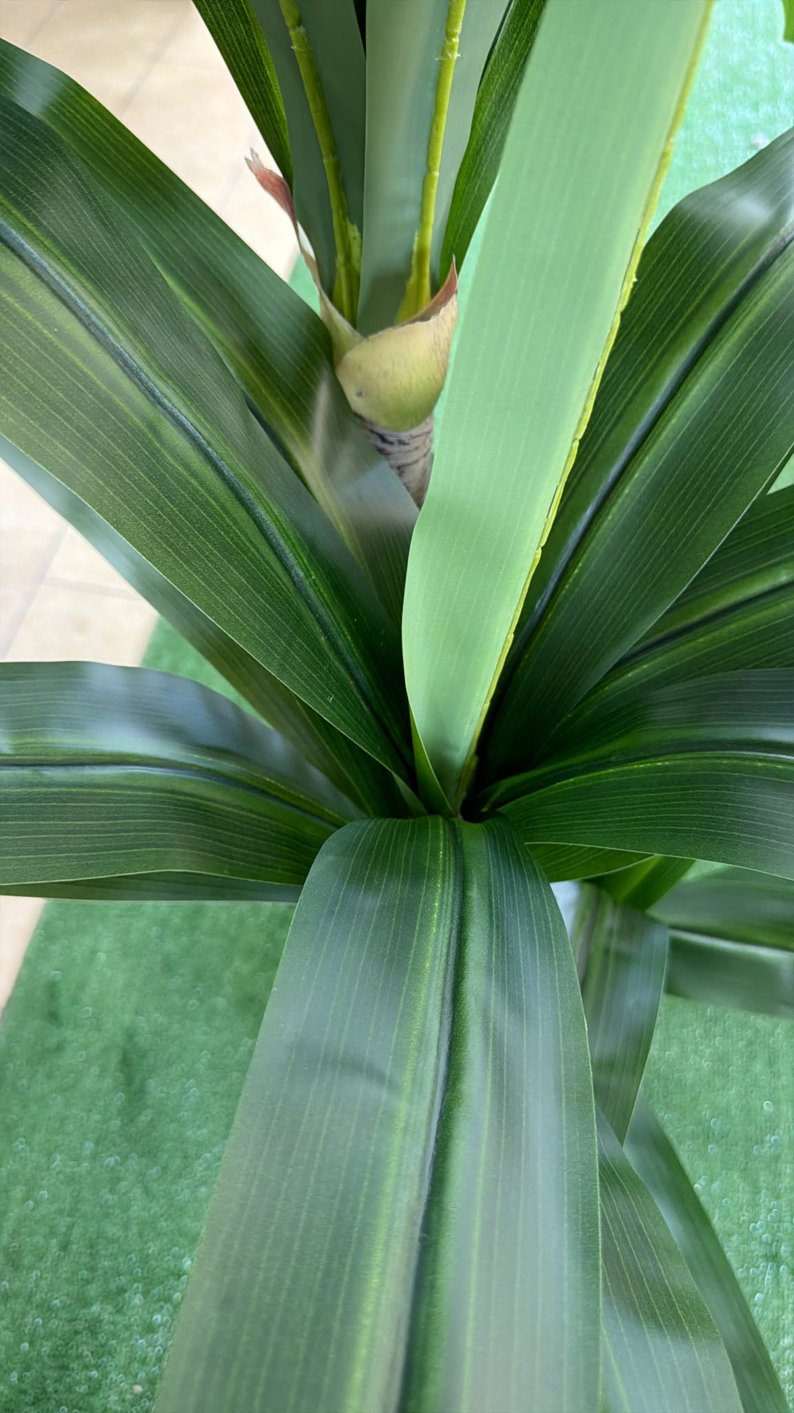 Dracena Artificiale 160 cm
