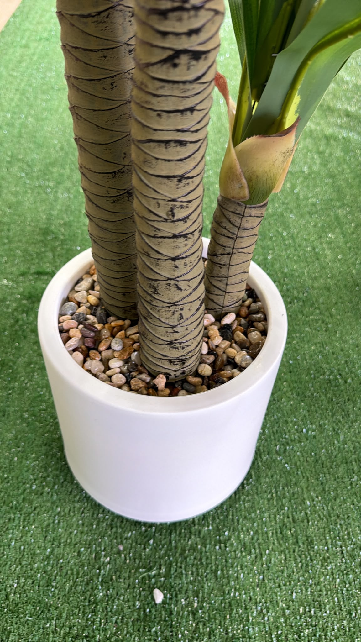 Dracena Artificiale 160 cm