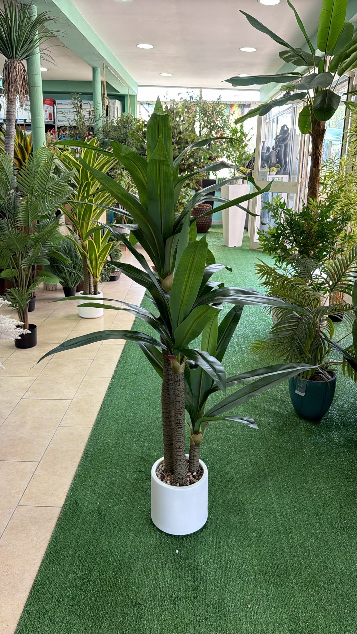 Dracena Artificiale 160 cm