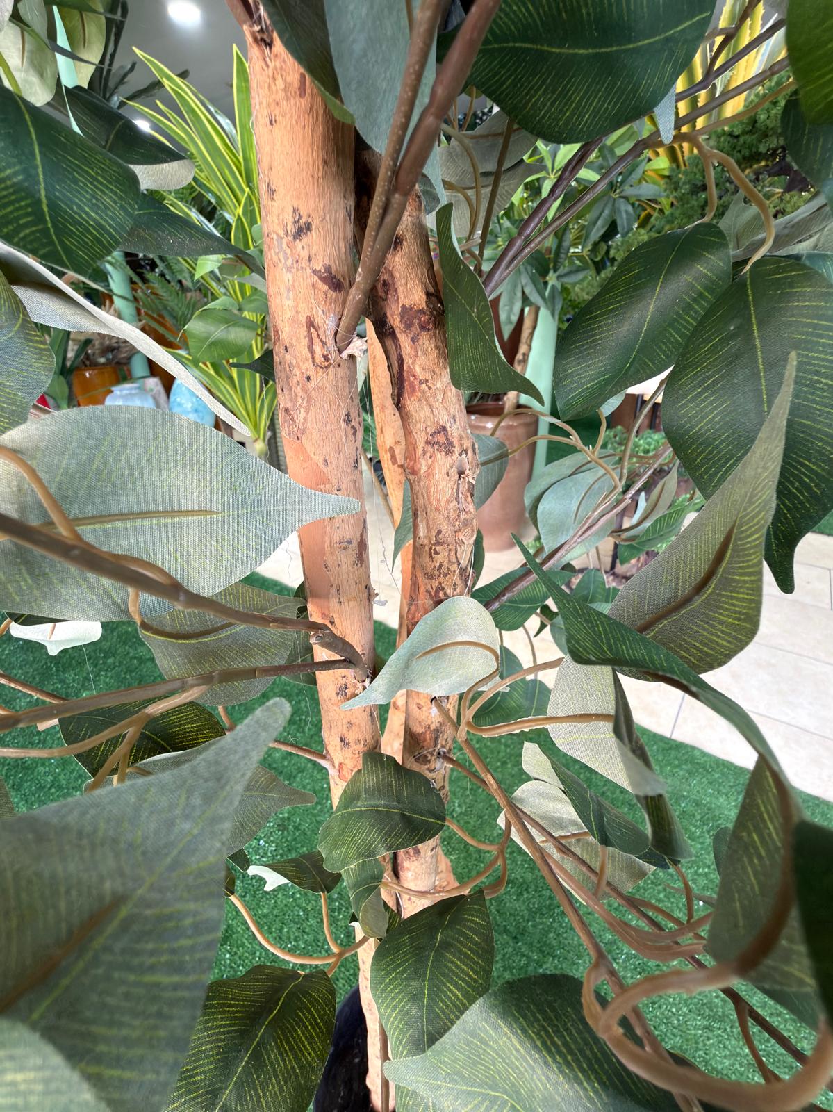 Ficus artificiale 220 cm — dettaglio tronco in legno naturale