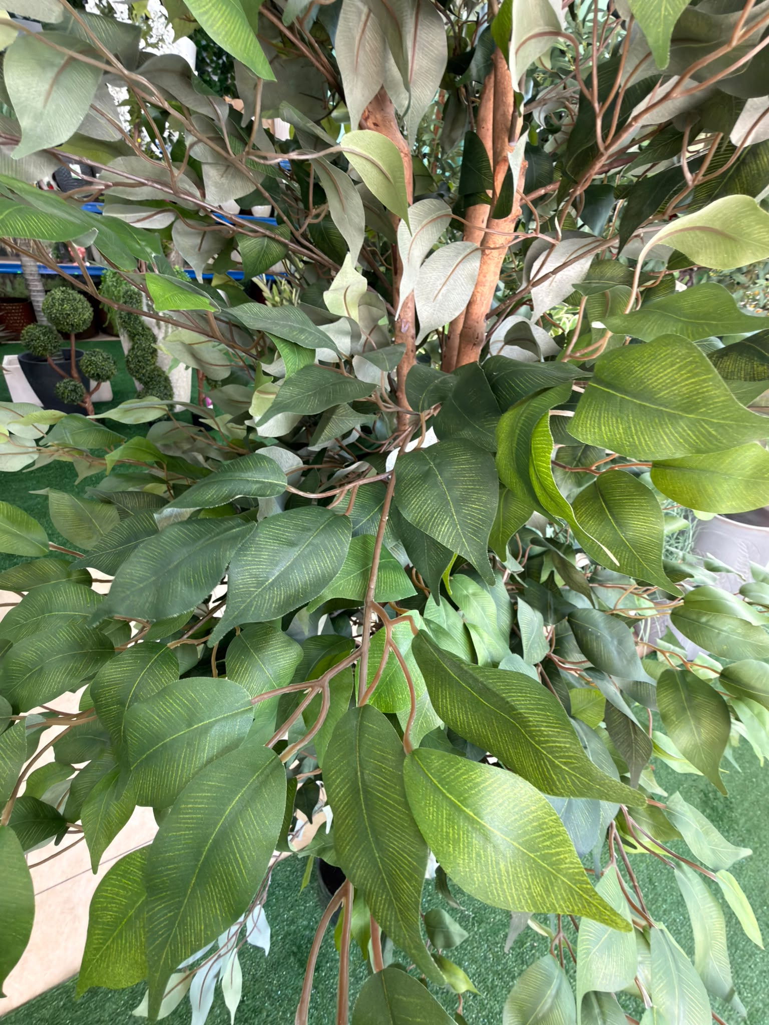 Ficus Artificiale 180 cm
