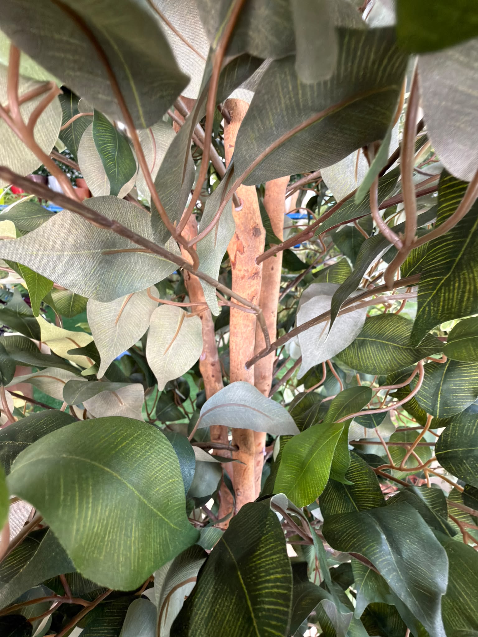 Ficus Artificiale 180 cm