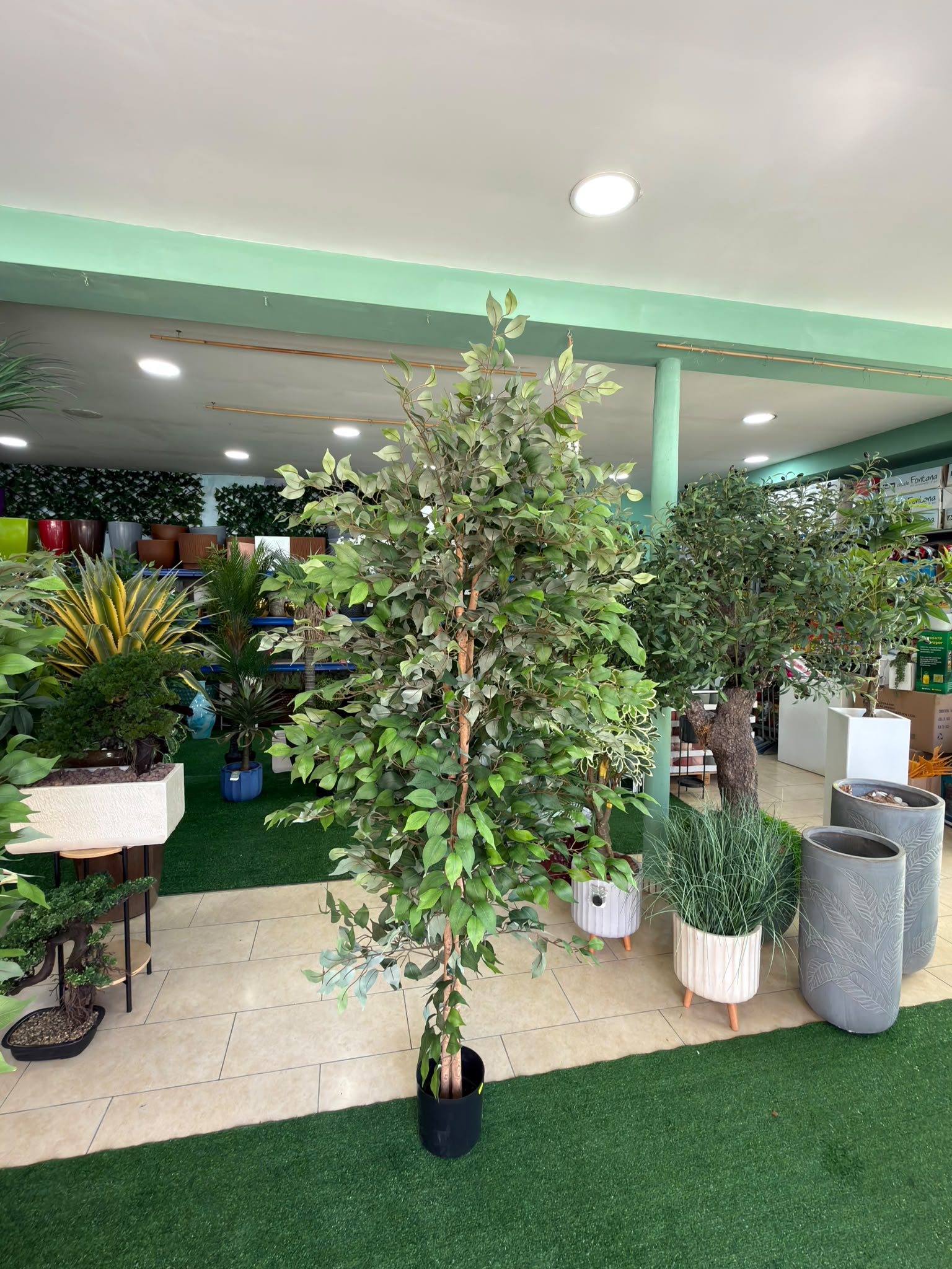 Ficus Artificiale 180 cm