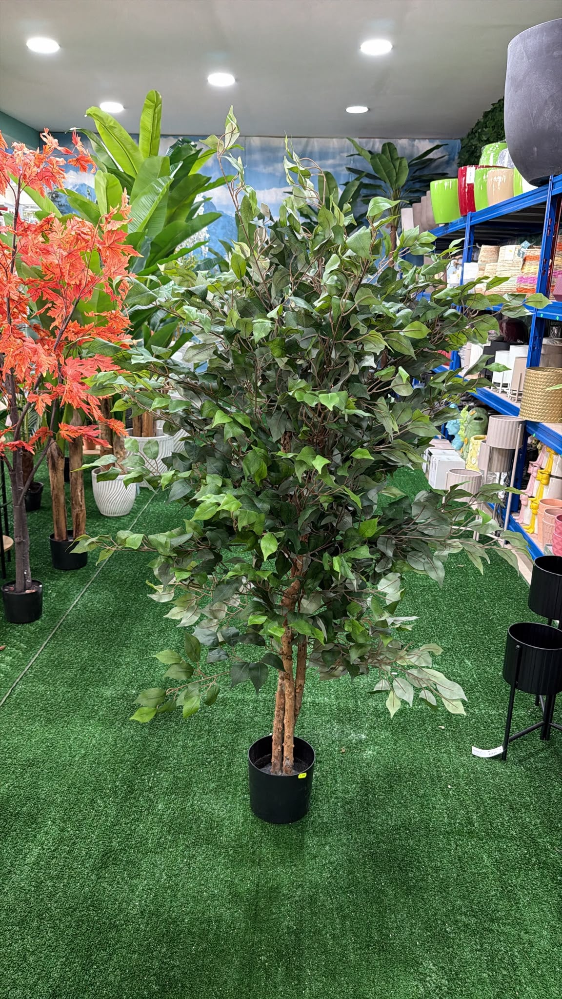 Ficus Artificiale 150 cm