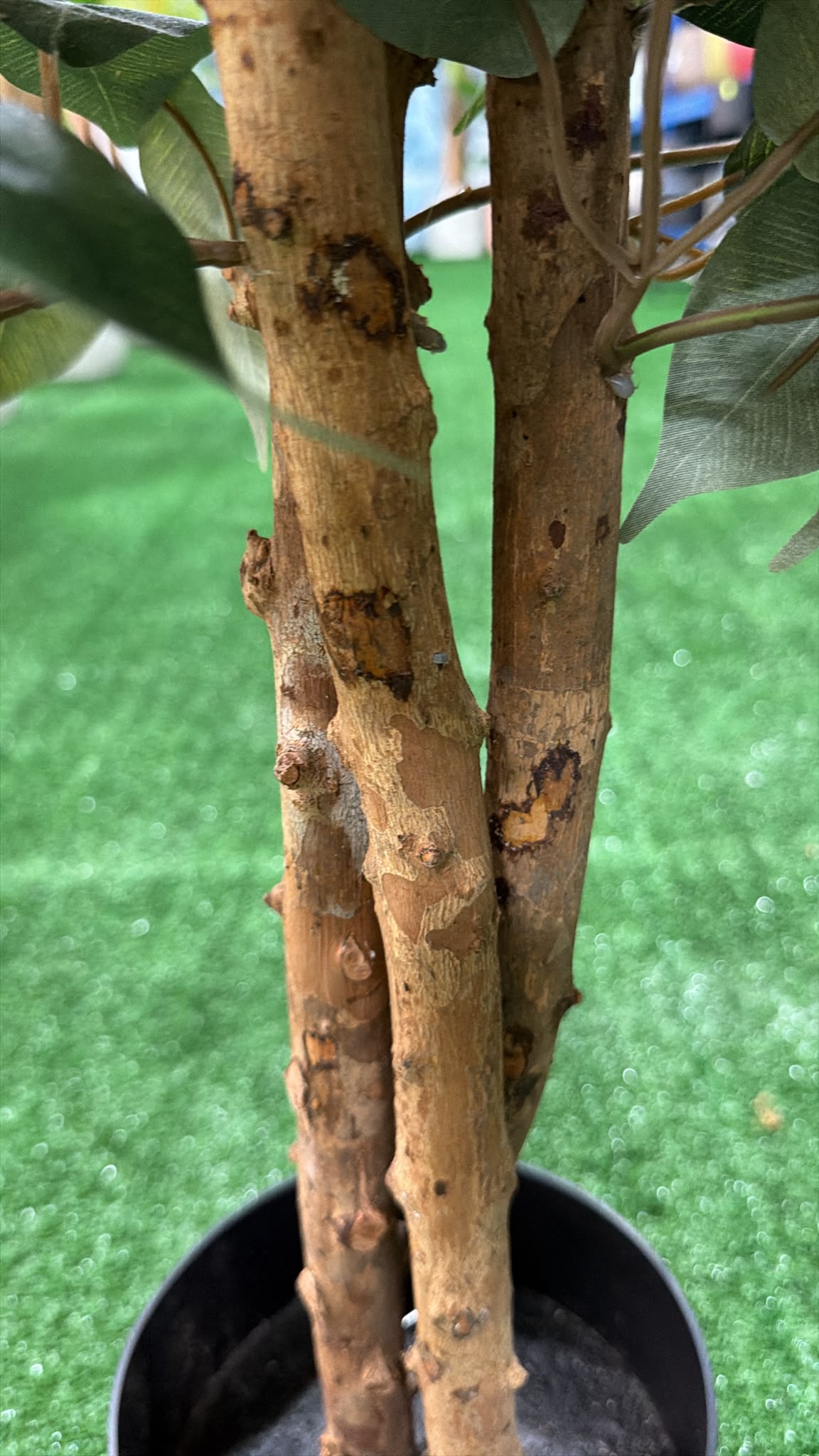 Ficus Artificiale 150 cm
