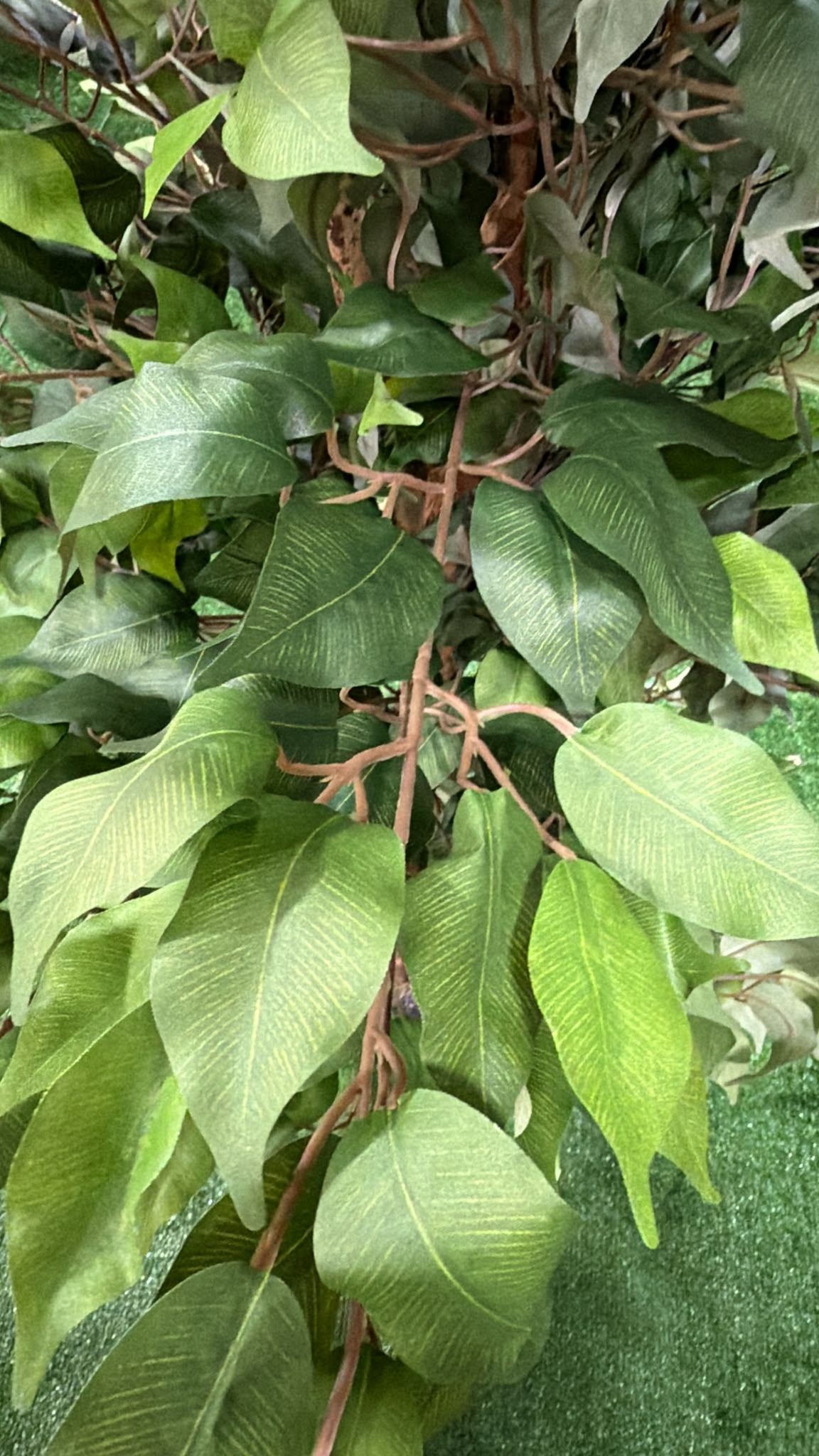 Ficus Artificiale 150 cm