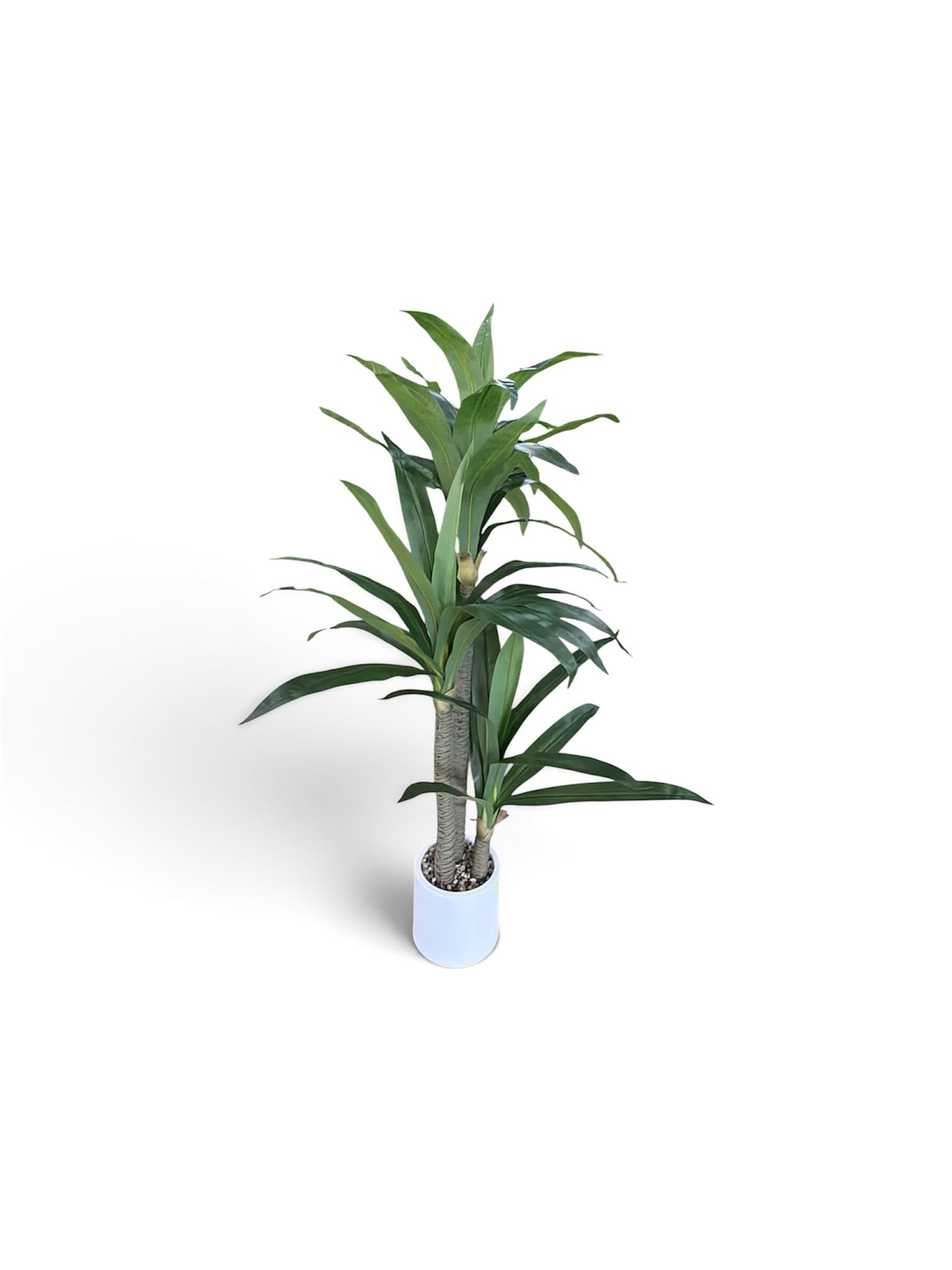 Dracena Artificiale 160 cm