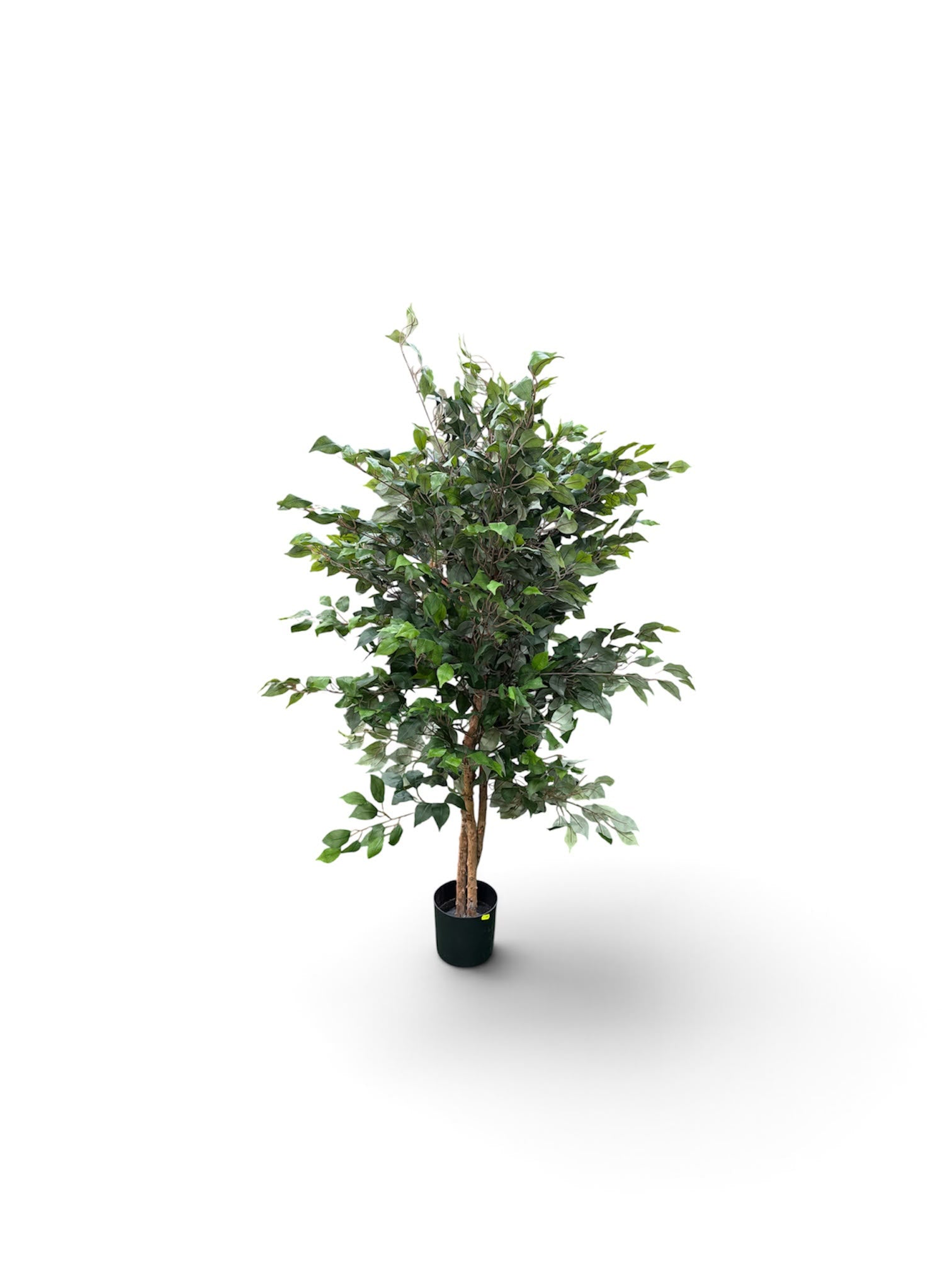 Ficus Artificiale 150 cm