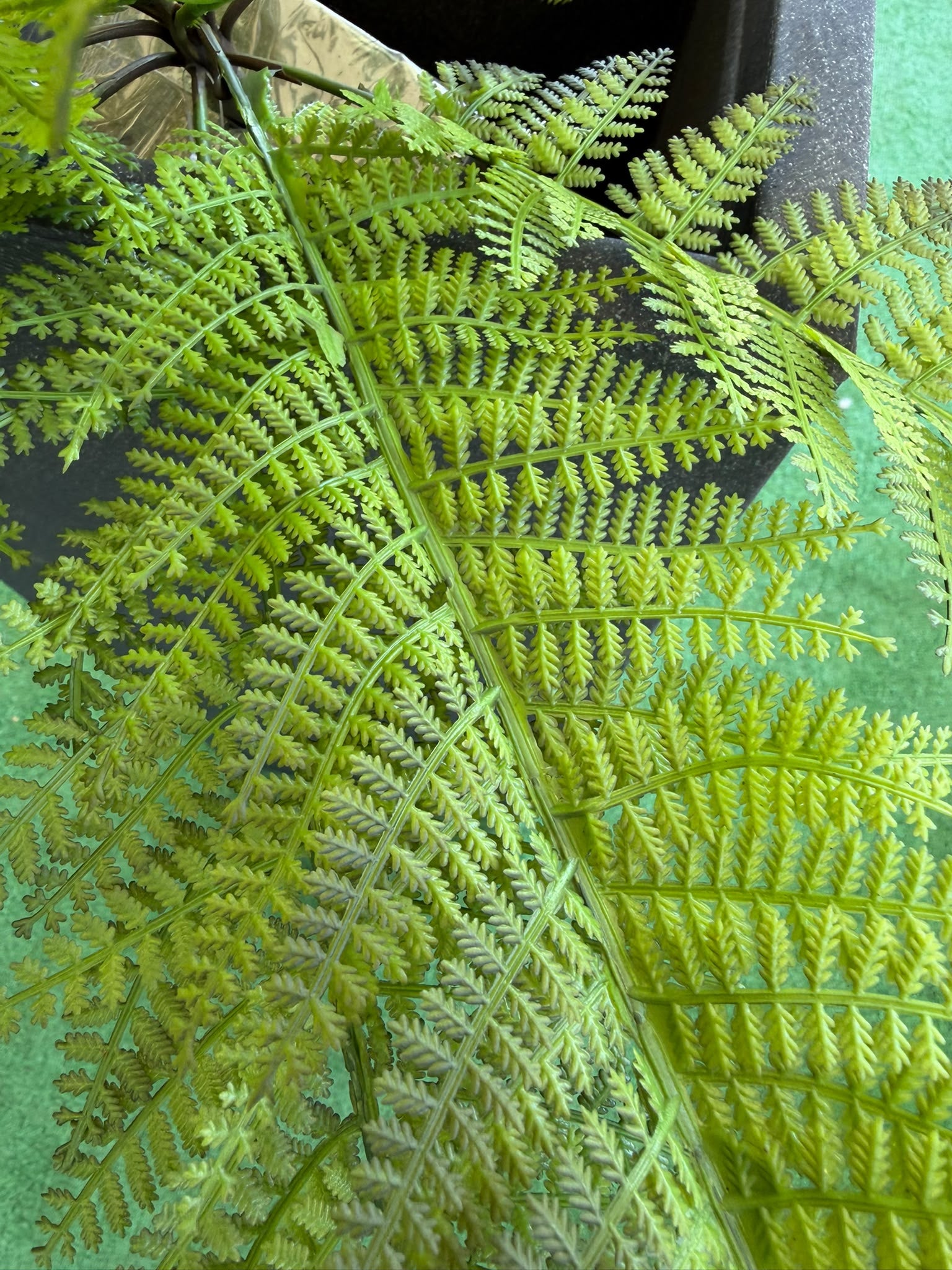 Felce Decorativa Ø80 cm – Pianta Artificiale per Vasi e Composizioni