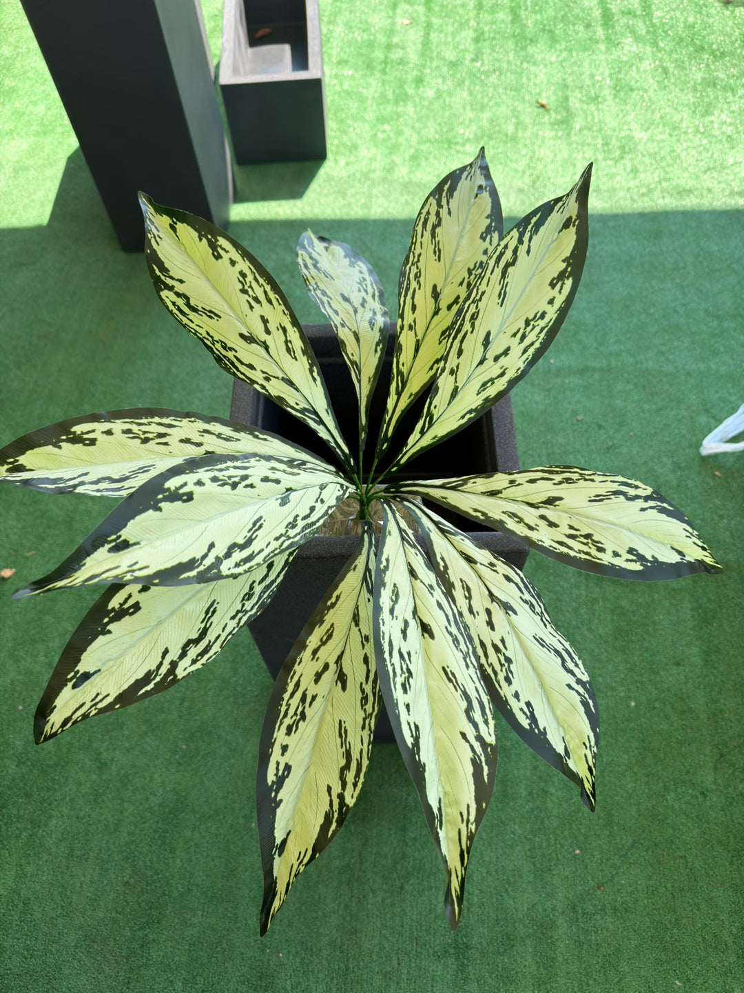 Aglaonema Decorativa Ø60 cm – Pianta Artificiale per Vasi e Composizioni
