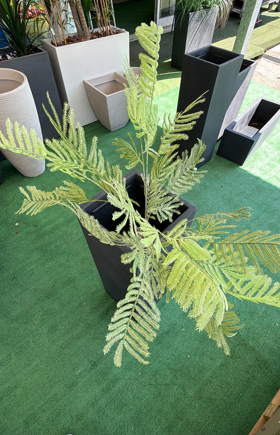 Mimosa Decorativa Ø40 cm – Pianta Artificiale per Vasi e Composizioni