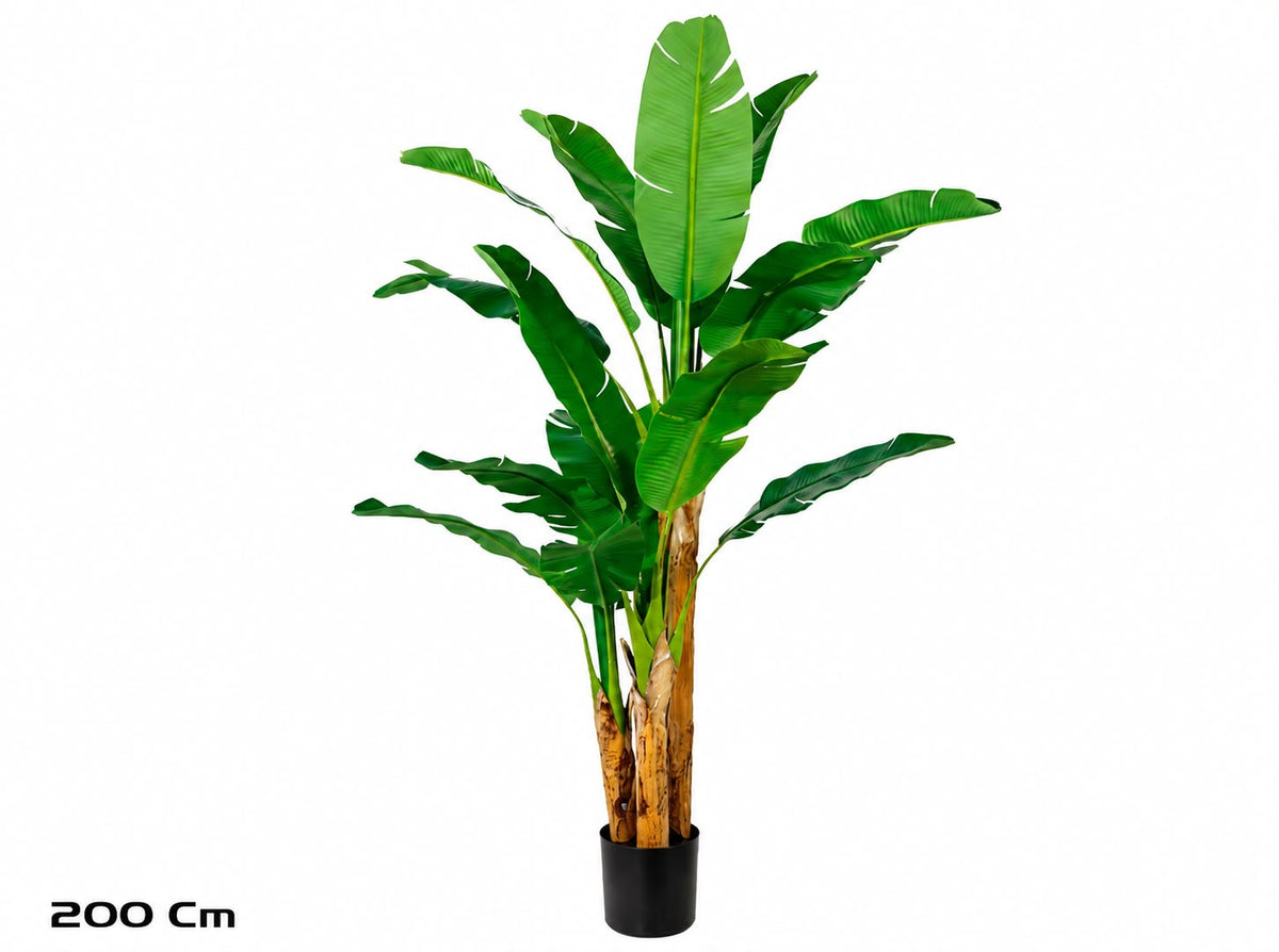 Banano Artificiale 200 cm con Tre Fusti