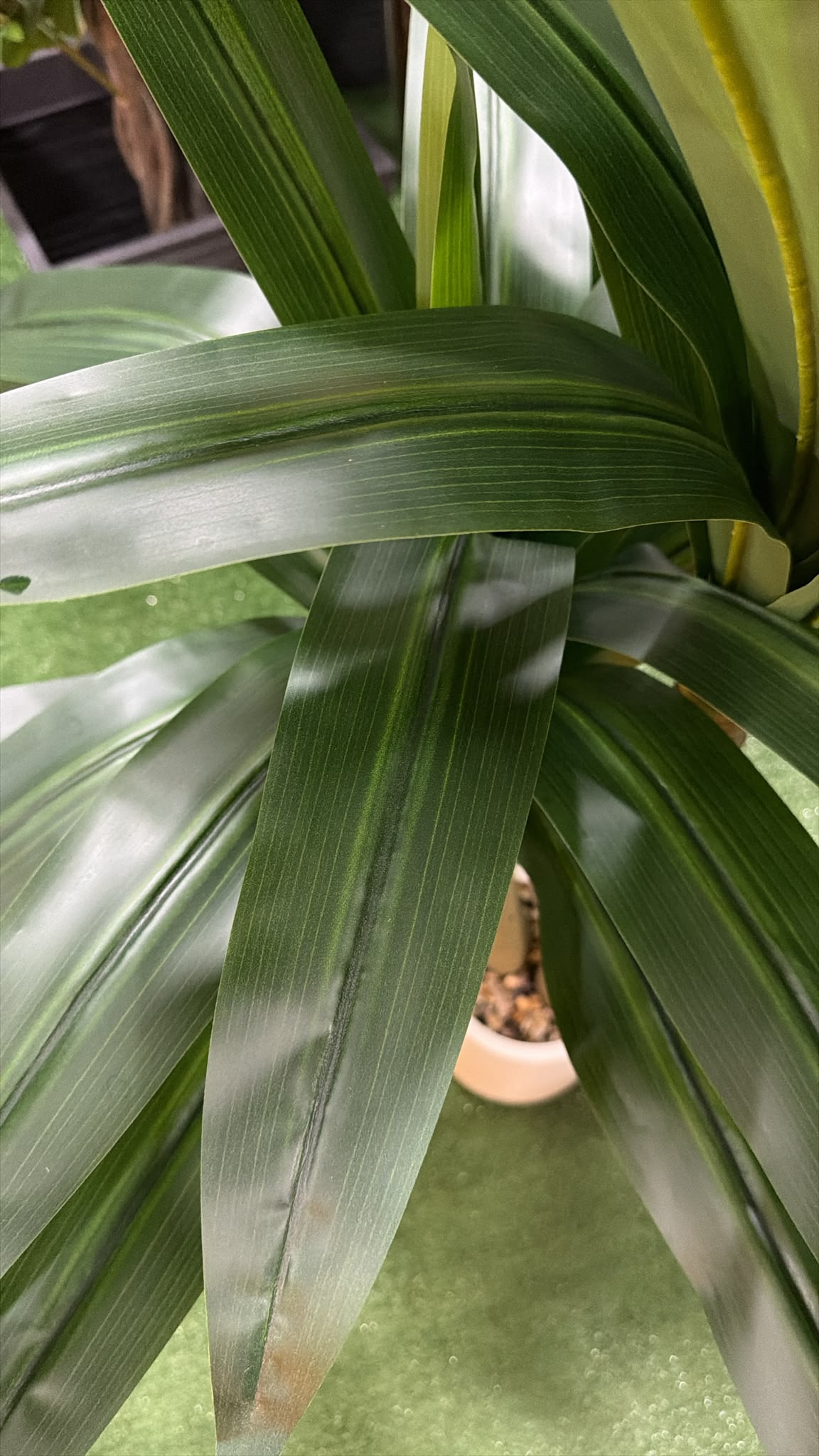Dracena artificiale verde 135 cm per casa e ufficio