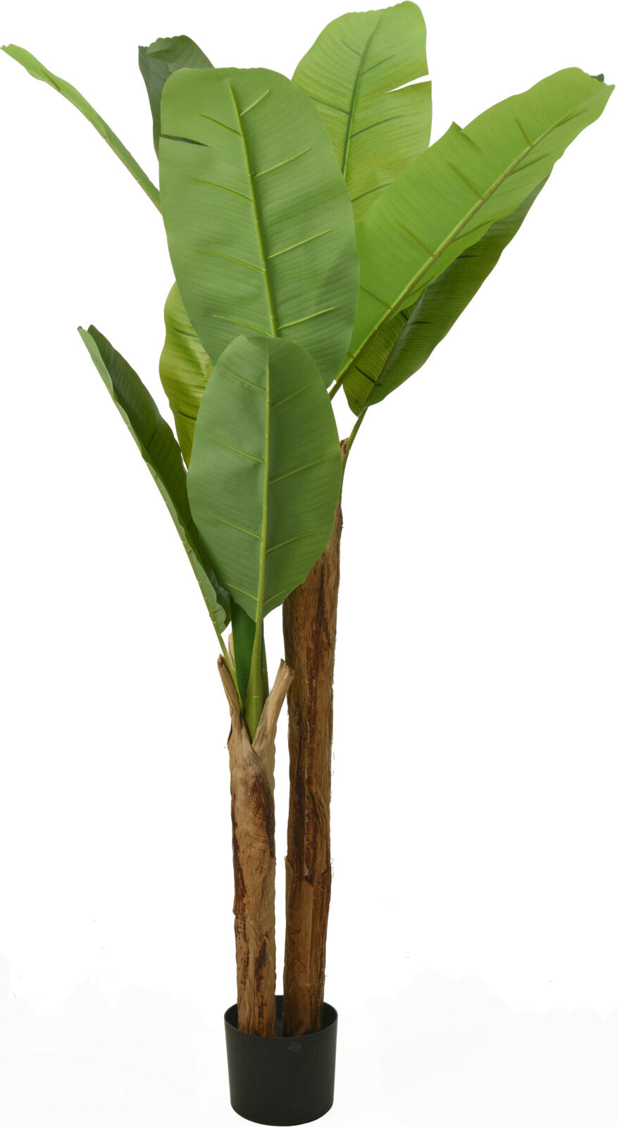 Pianta Banano Artificiale Decorativa – 160 cm