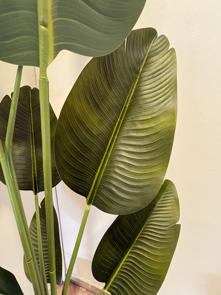 Strelizia Artificiale Realistica – 220 cm COD.LY44082