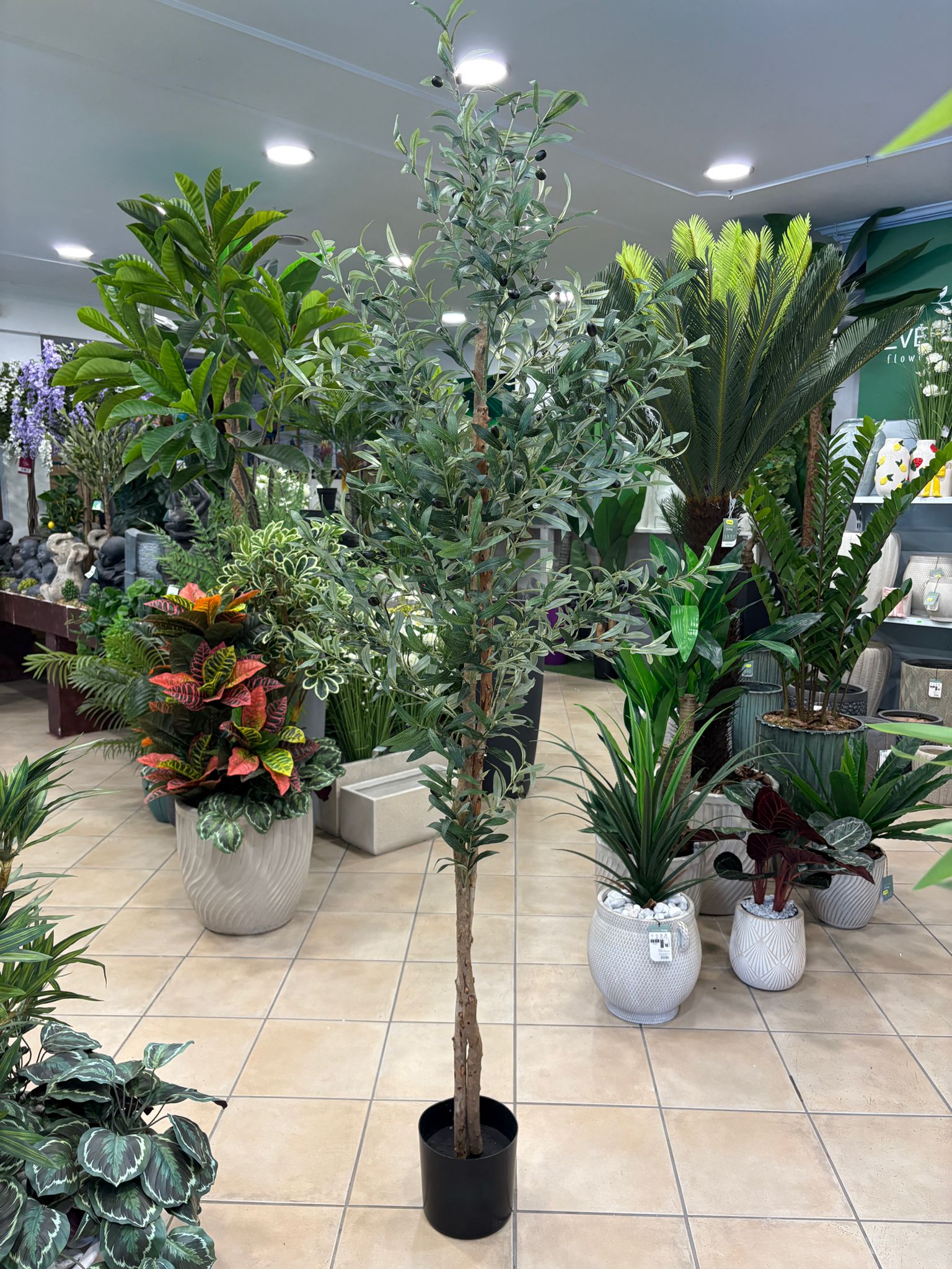 Olivo Artificiale Deluxe 210 cm — Tronco in Vero Legno | Collezione Nature