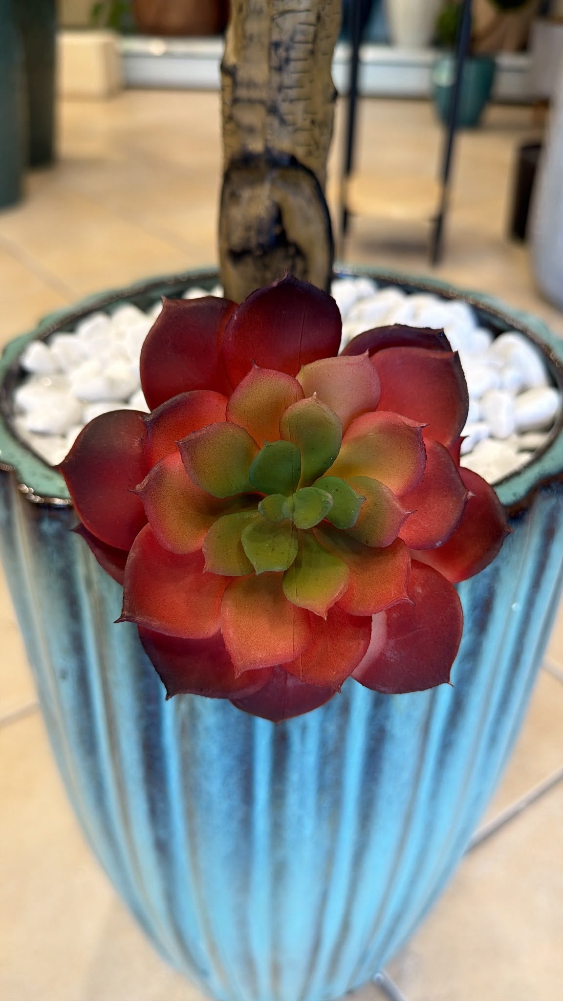 Echeveria Artificiale Rossa – Pianta Grassa Decorativa