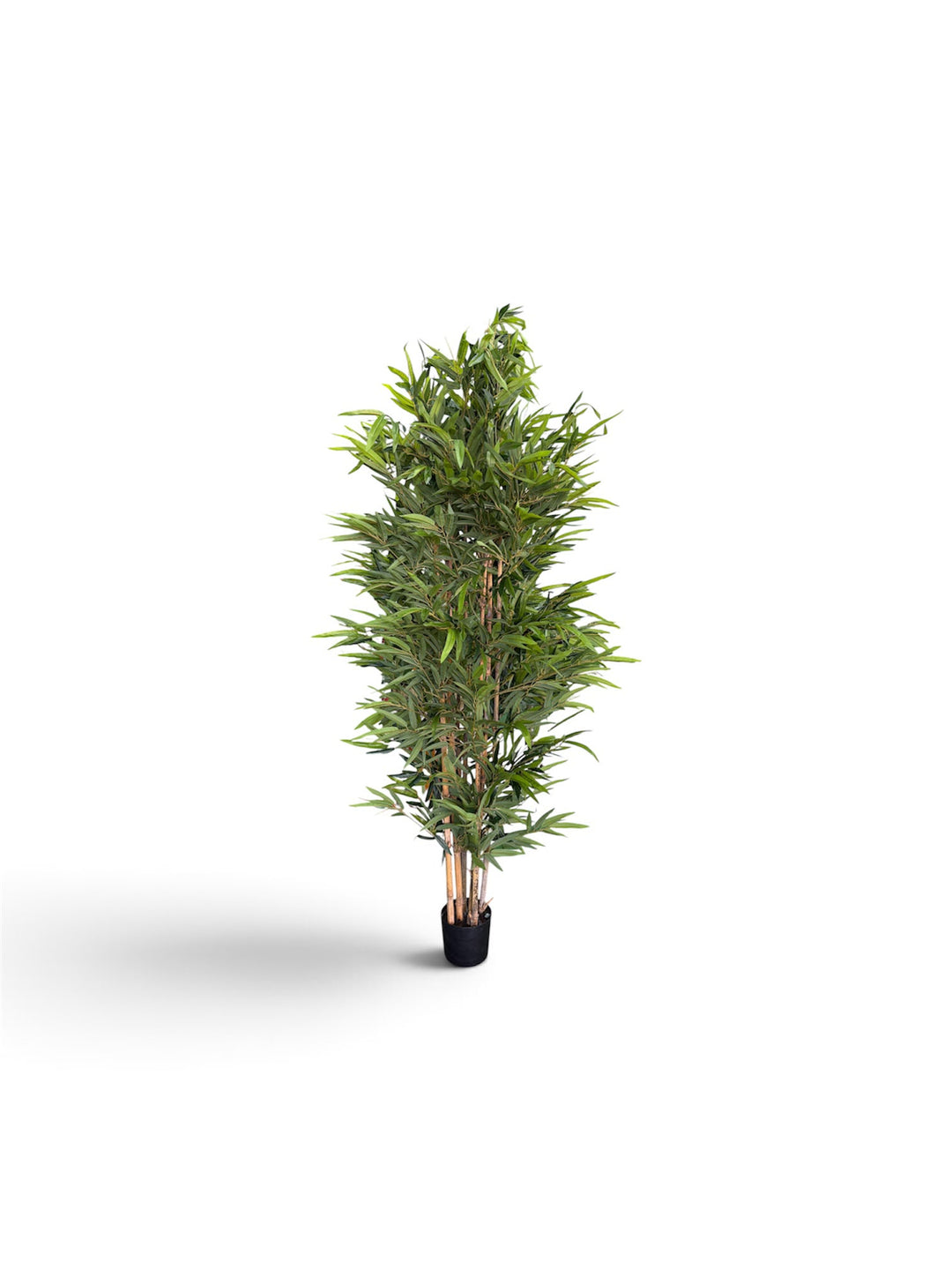Bambù Artificiale 220 cm