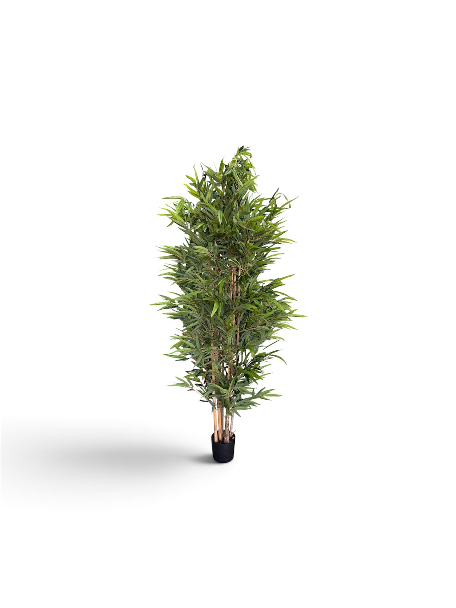 Bambù Artificiale 220 cm