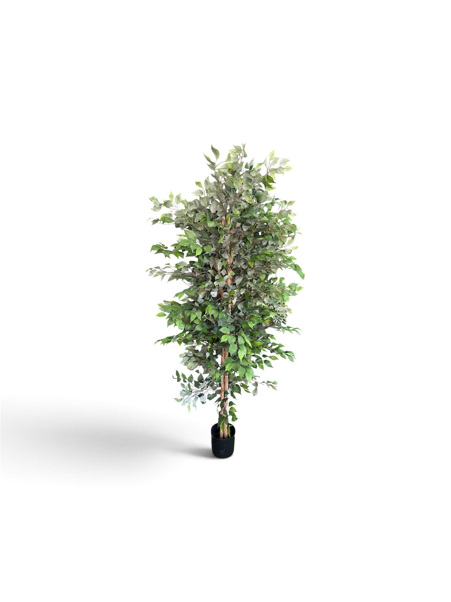 Ficus Artificiale 180 cm