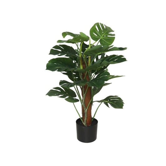 Monstera Artificiale