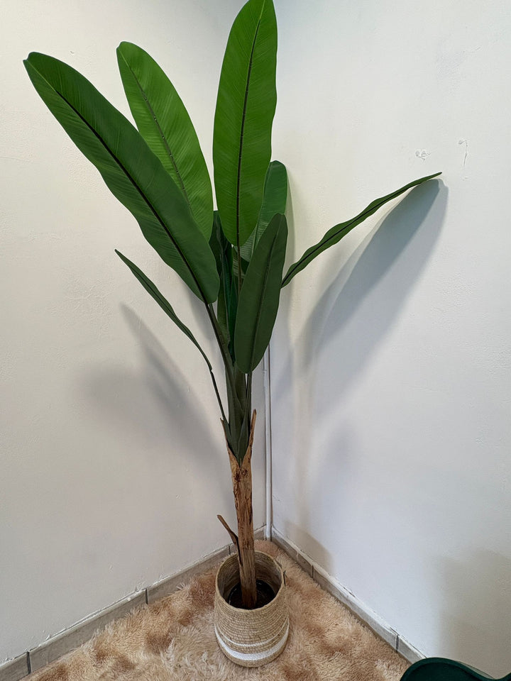 Banano Artificiale Realistico – 180 cm COD. LY44078
