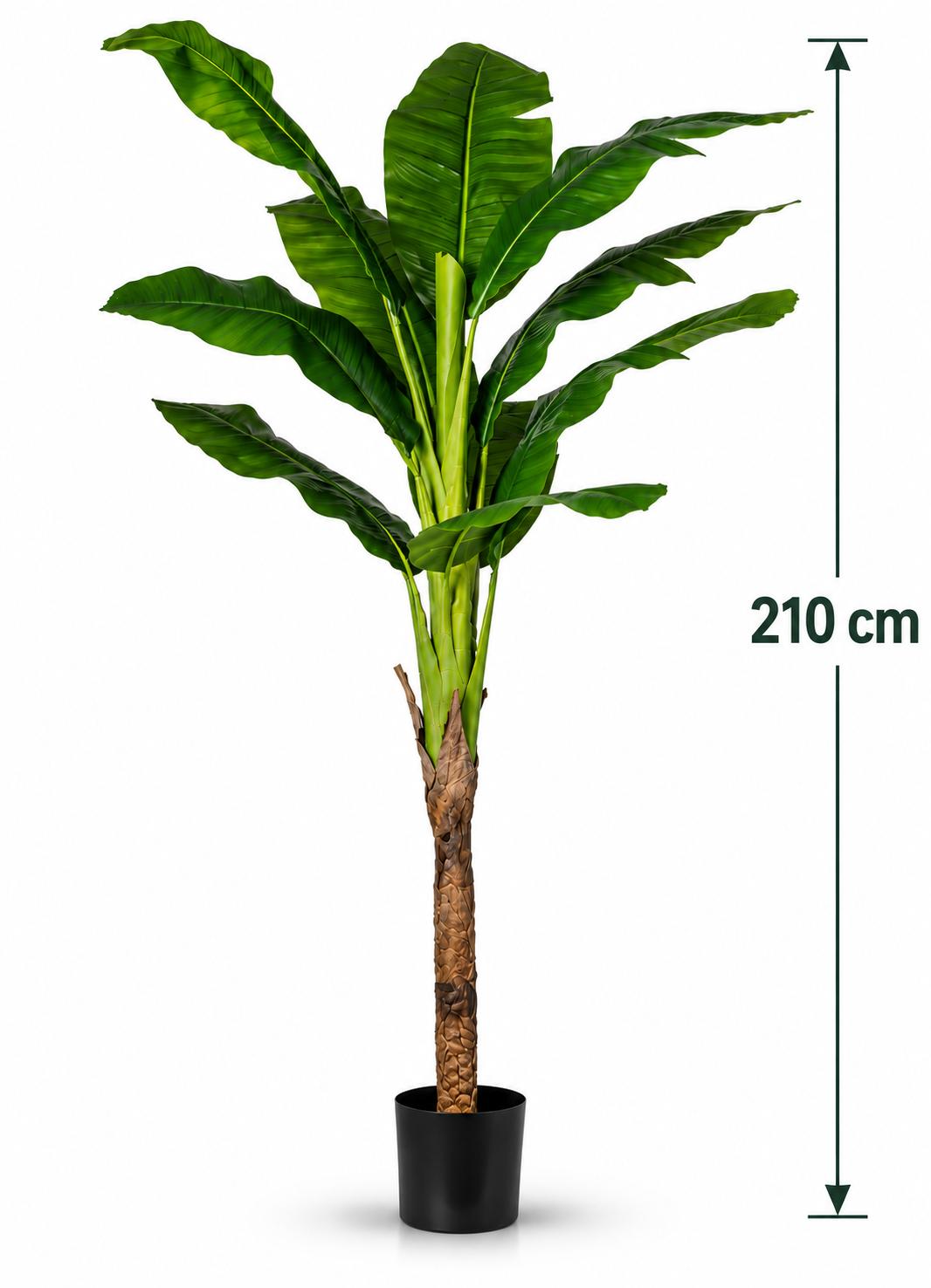 Banano Artificiale 210 cm con 1 Fusto