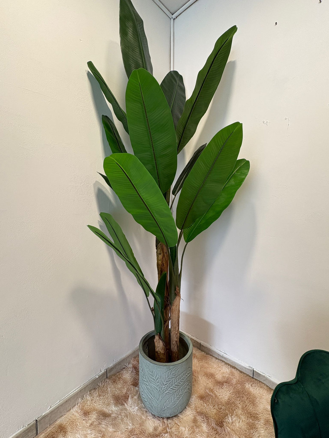 Banano Artificiale a Tre Gambi – 220 cm cod. BA200