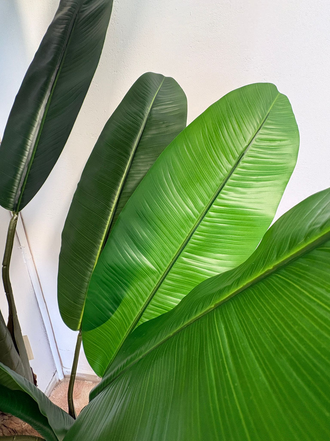 Banano Artificiale a Tre Gambi – 220 cm cod. BA200