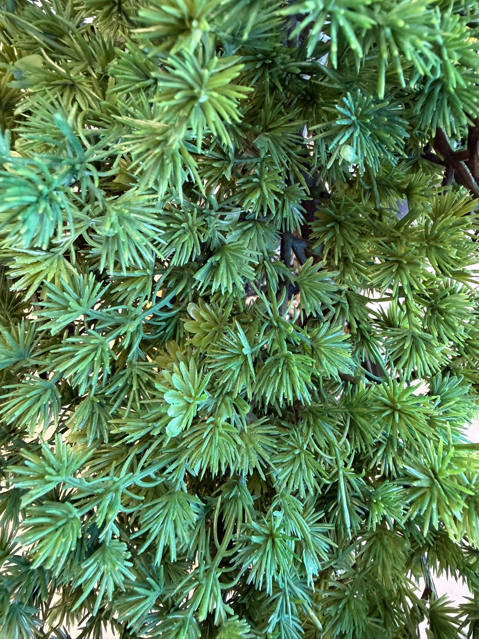 Bonsai di Cedro Artificiale – Pianta Ornamentale Realistica in PE