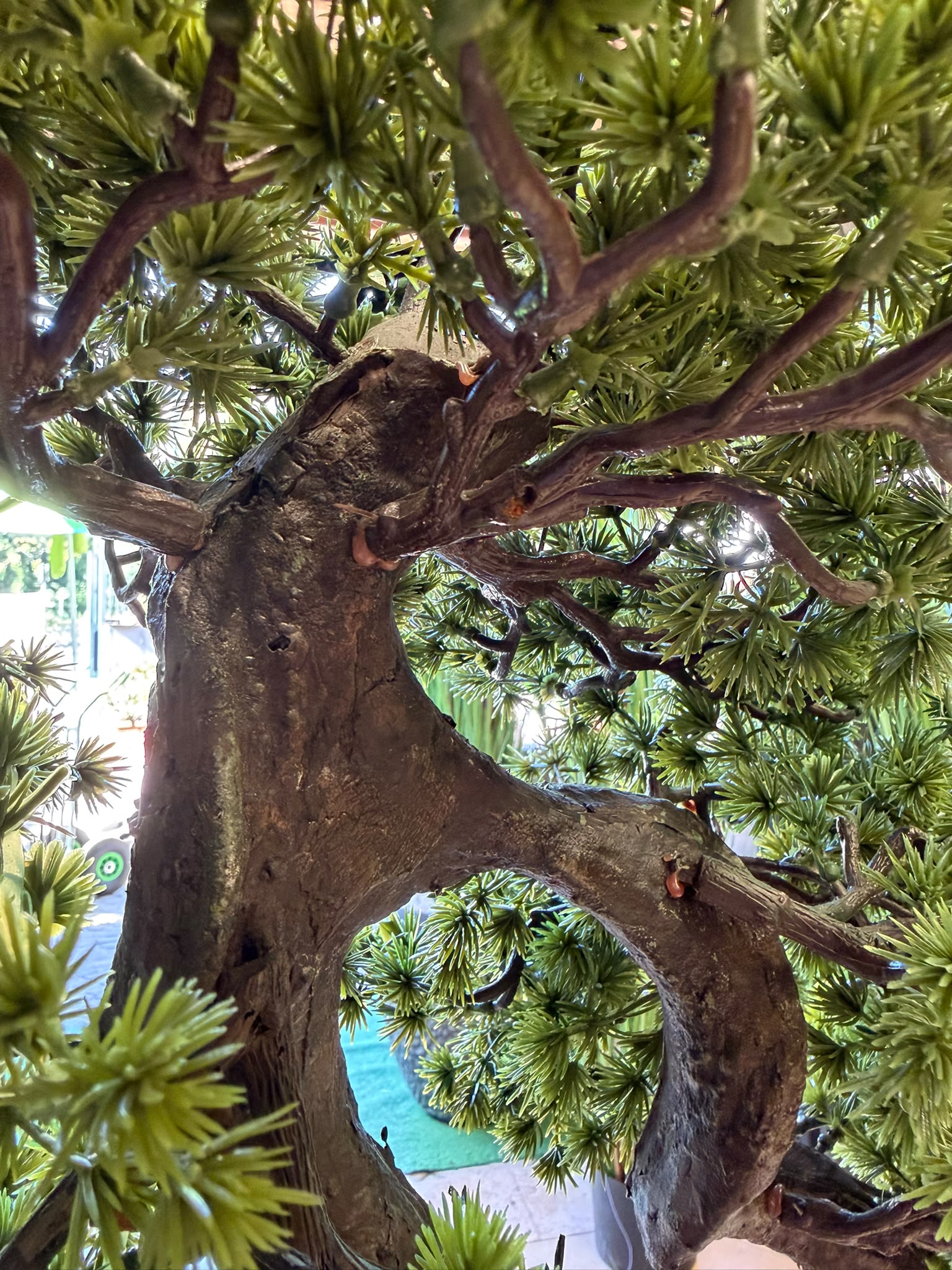 Bonsai di Cedro Artificiale – Pianta Ornamentale Realistica in PE