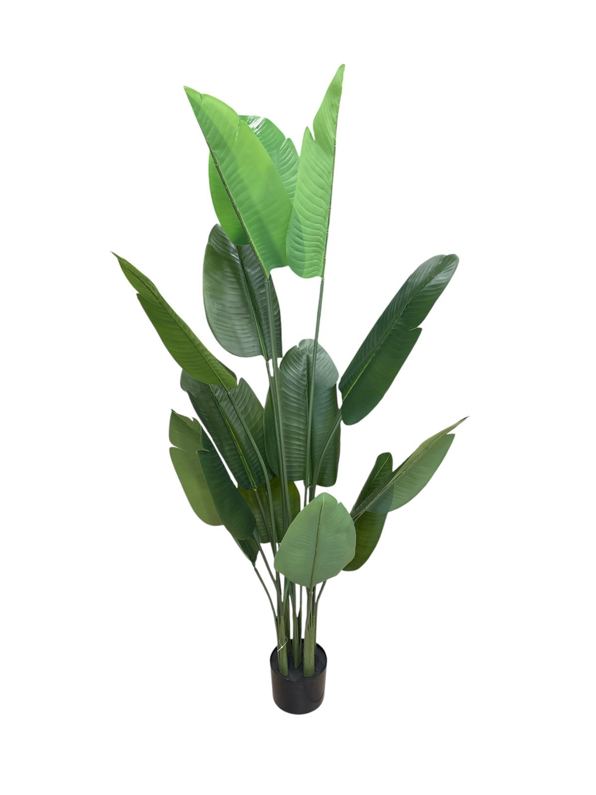 Strelizia Artificiale 150 cm