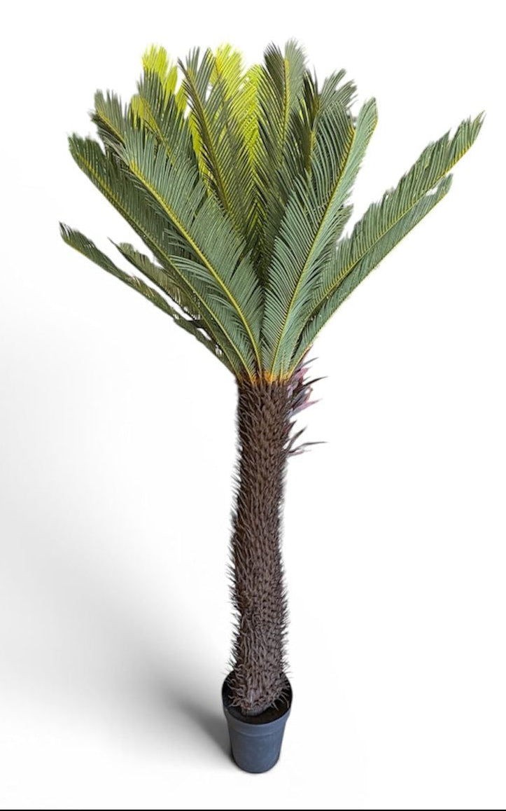 Cycas Artificiale 40 Foglie – Altezza 190 cm