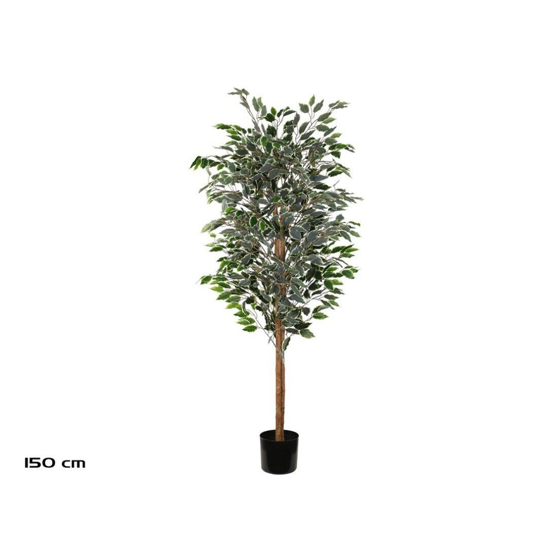 Ficus variegato Artificiale