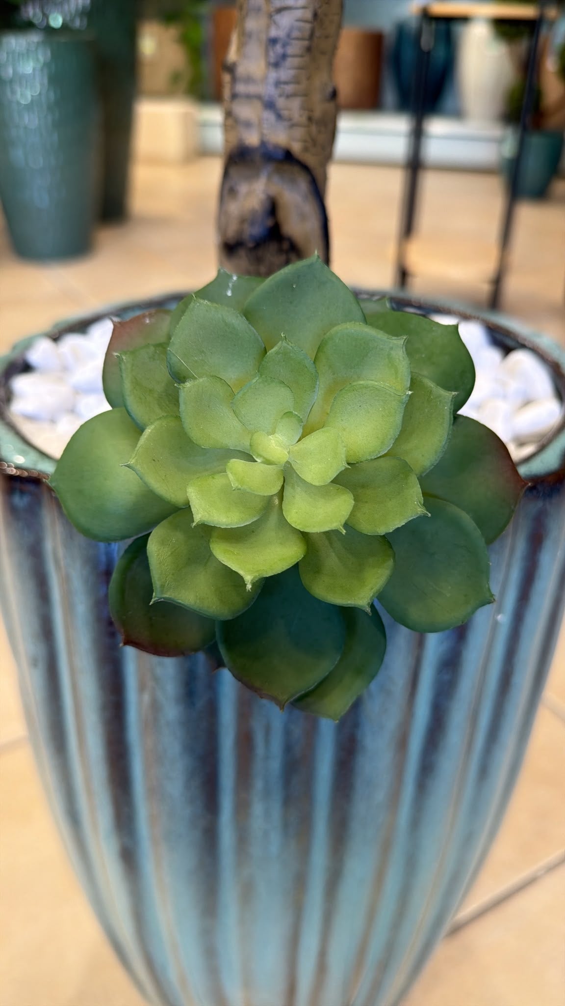 Echeveria Artificiale Verde – Pianta Grassa Decorativa