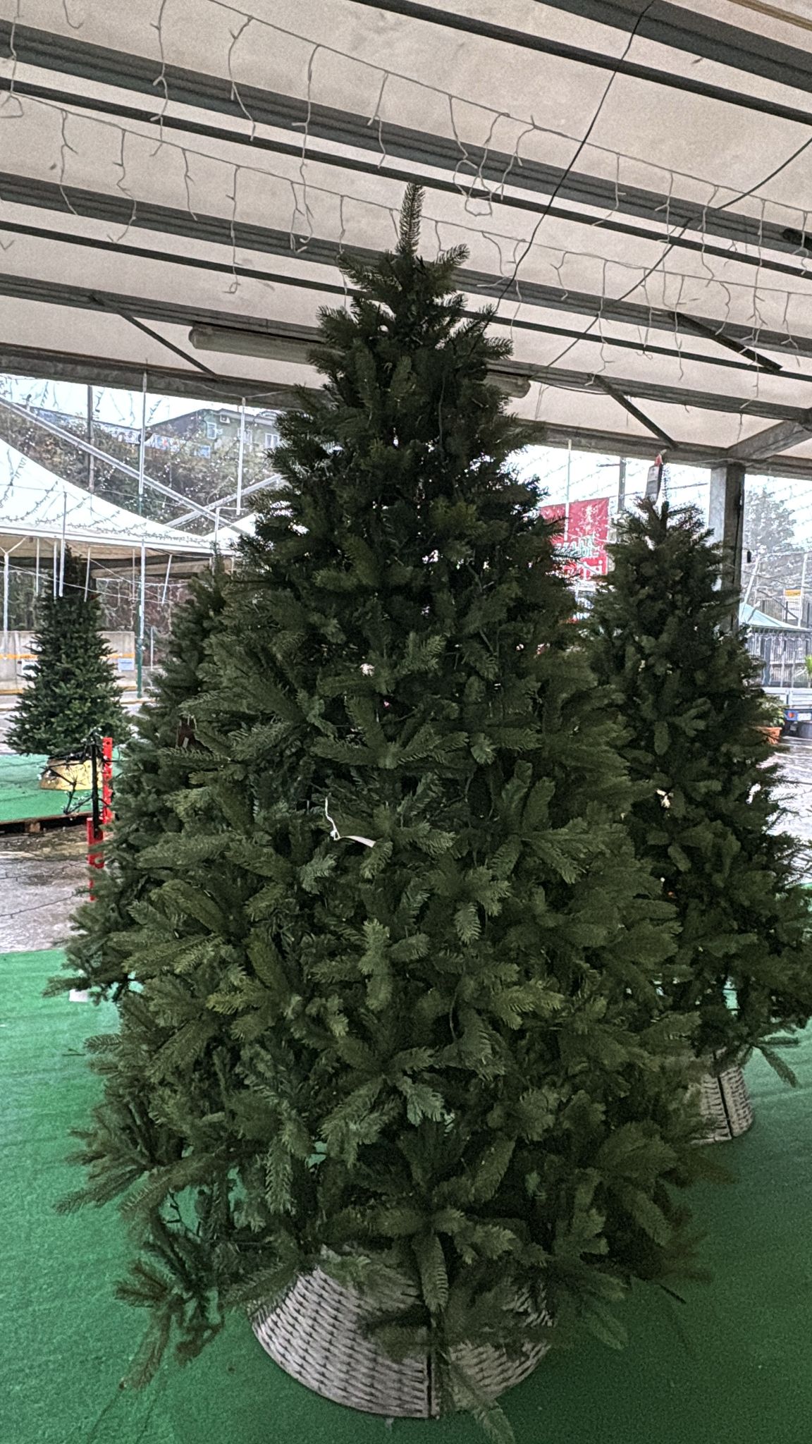 Albero di Natale Freiburg Pine 240 cm Ø155 cm (cod. 684083) – Everlands