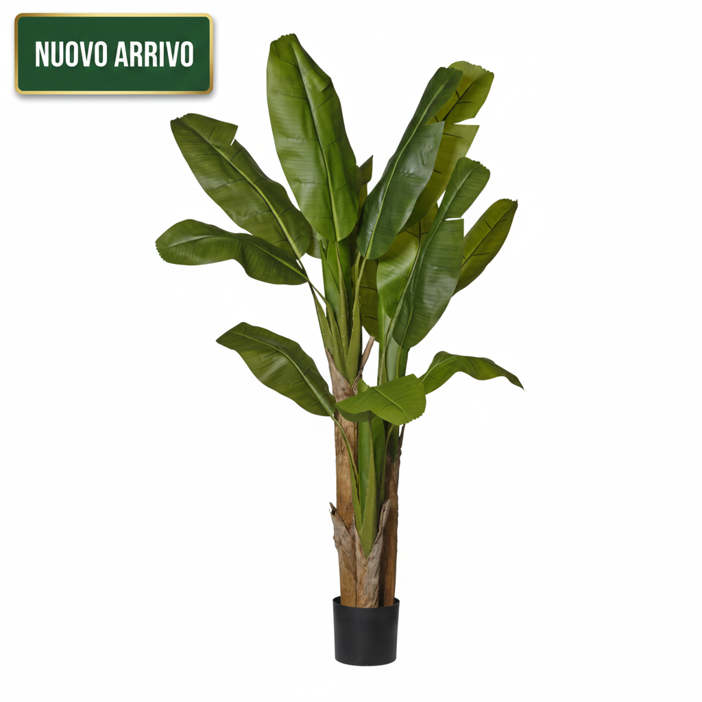 Pianta Banano x3 in Vaso H. 180 cm - Green - Nuovo Arrivo