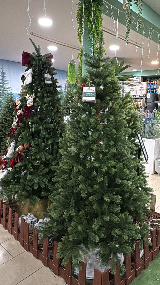 Albero di Natale Kenmore Fir 210 cm Ø120 cm (cod. 684116) – Everlands