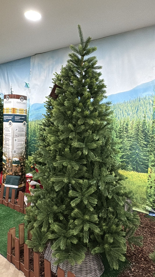 Albero di Natale Kenmore Fir 240 cm Ø132 cm (cod. 684117) – Everlands