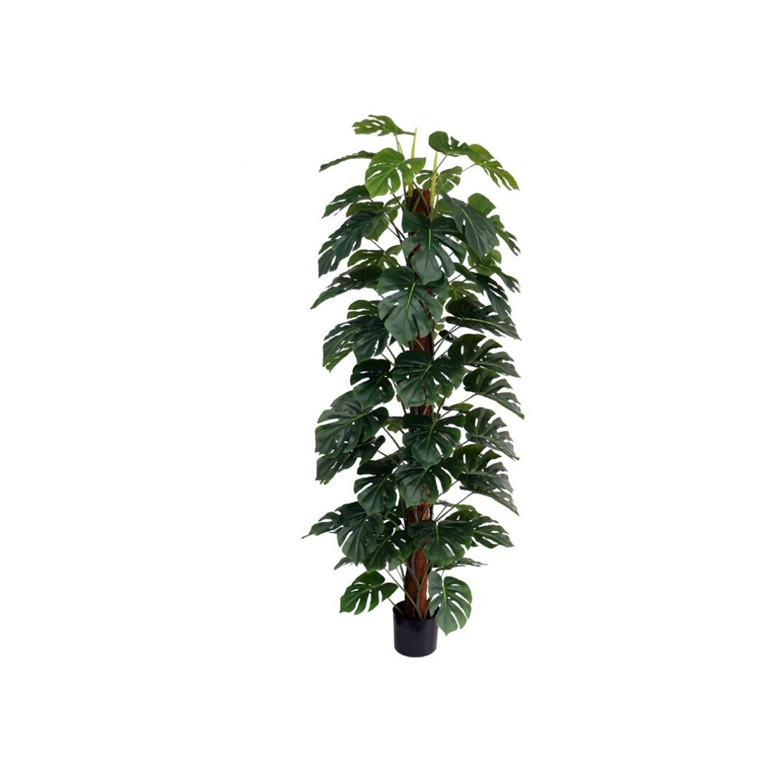Monstera Artificiale 182 cm
