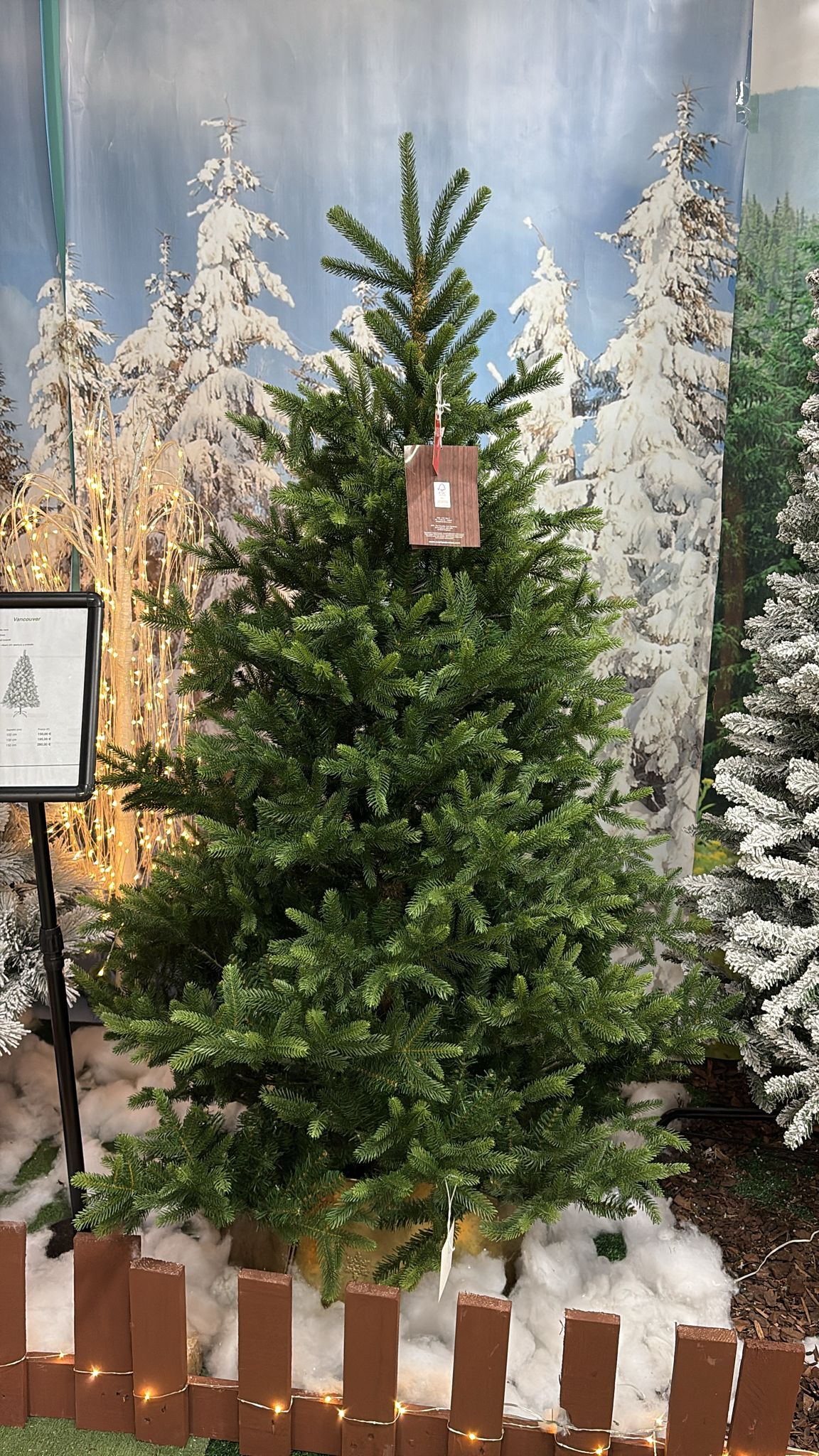 Albero di Natale Nordmann Fir 180 cm Ø130 cm (cod. 684306) – Everlands