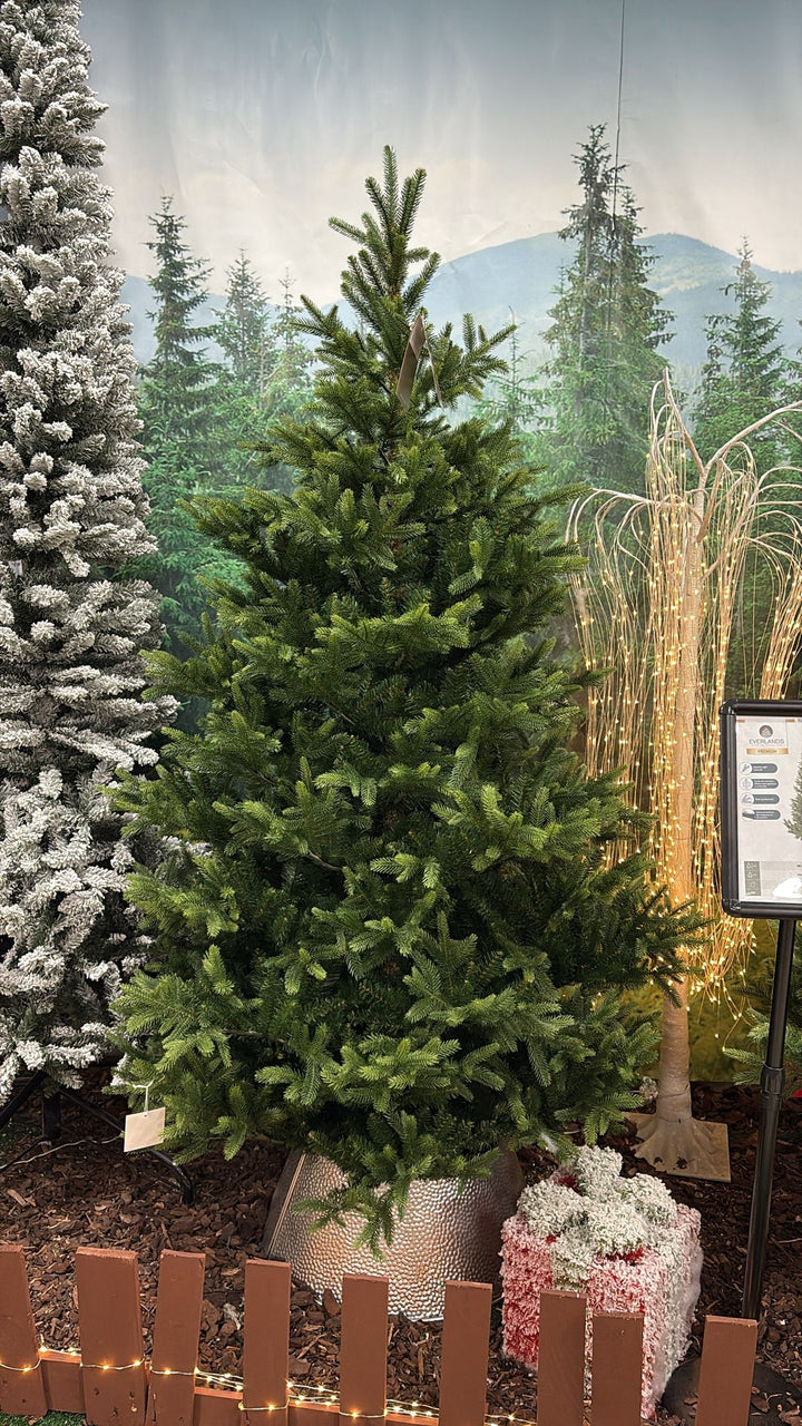 Albero di Natale Nordmann Fir 210 cm Ø150 cm (cod. 684307) – Everlands
