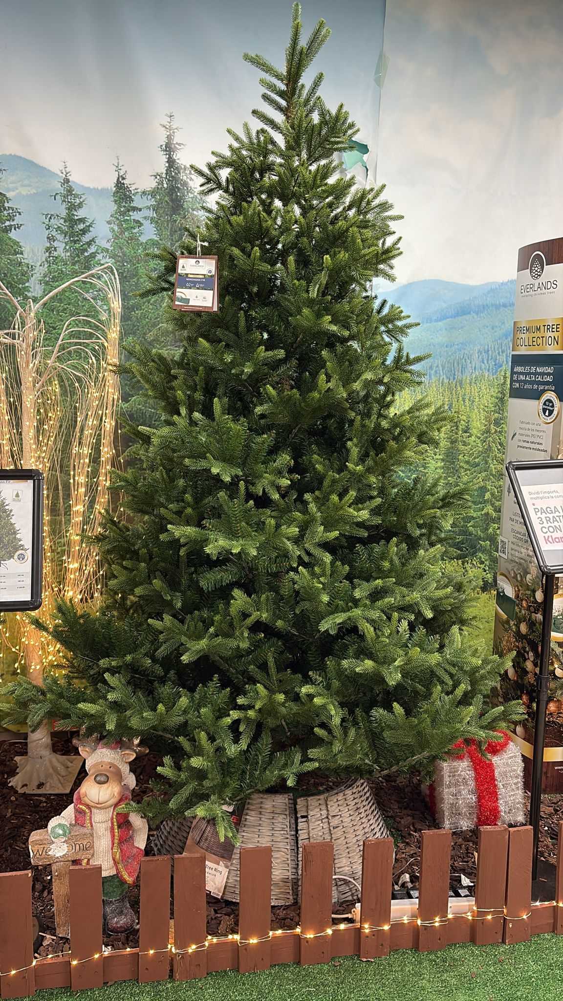 Albero di Natale Nordmann Fir 240 cm Ø165 cm (cod. 684308) – Everlands