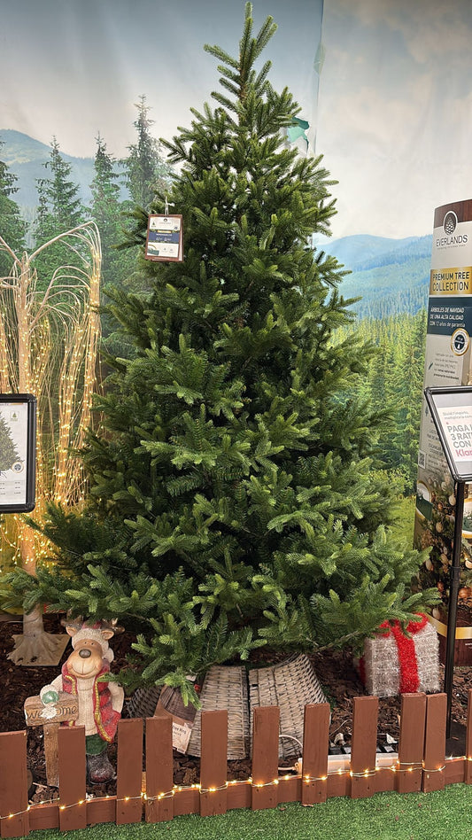 Albero di Natale Nordmann Fir 240 cm Ø165 cm (cod. 684308) – Everlands